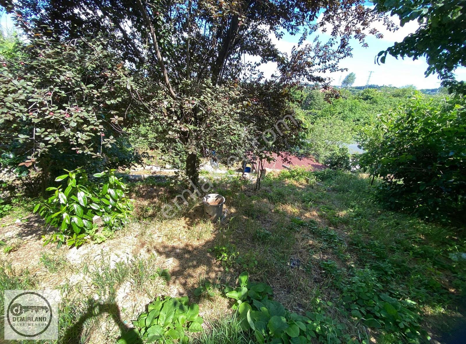 Demirland'dan Satılık İstanbul Beykoz Boğaz Hattında Arsa - Görsel 7
