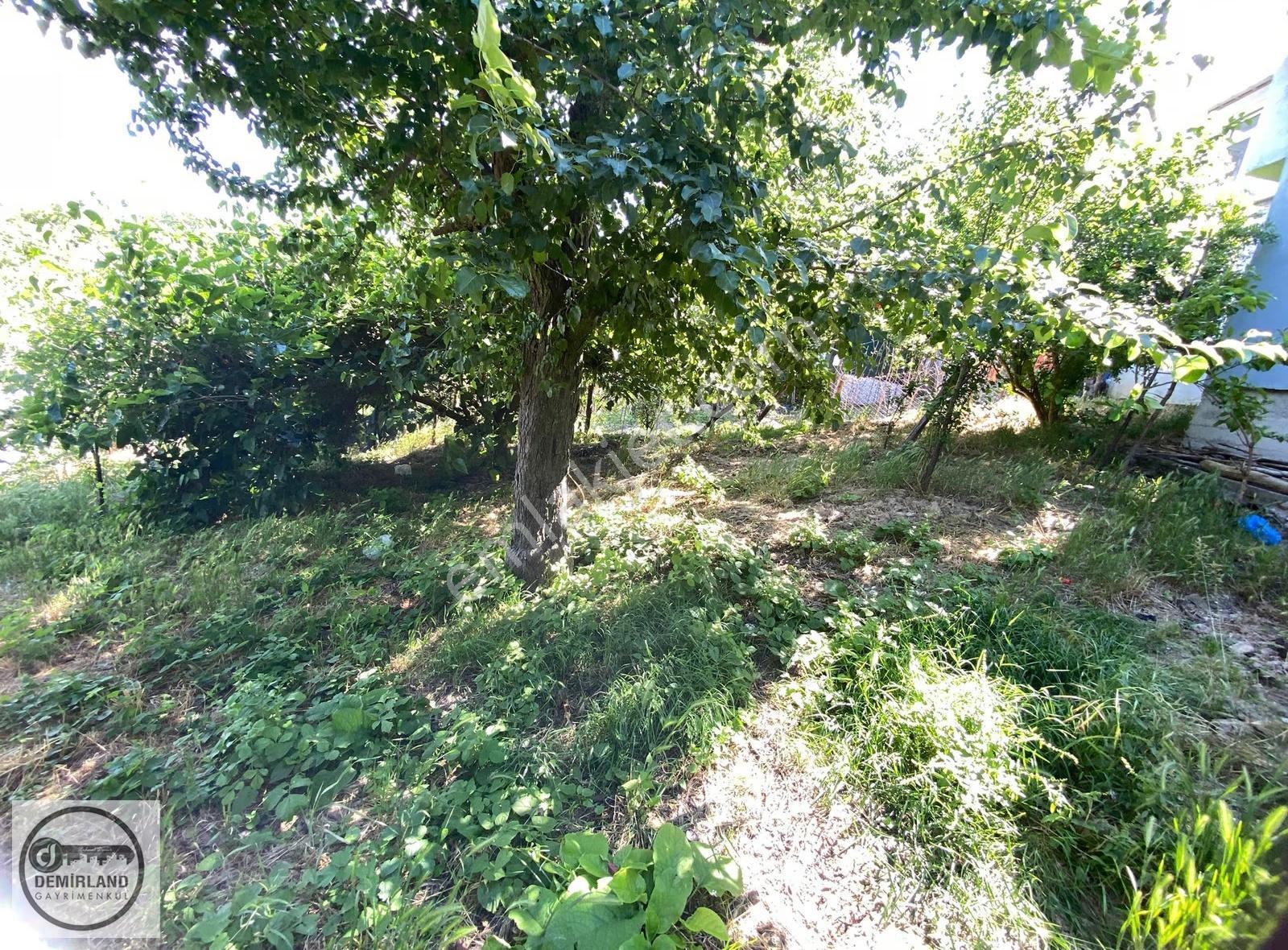 Demirland'dan Satılık İstanbul Beykoz Boğaz Hattında Arsa - Görsel 5