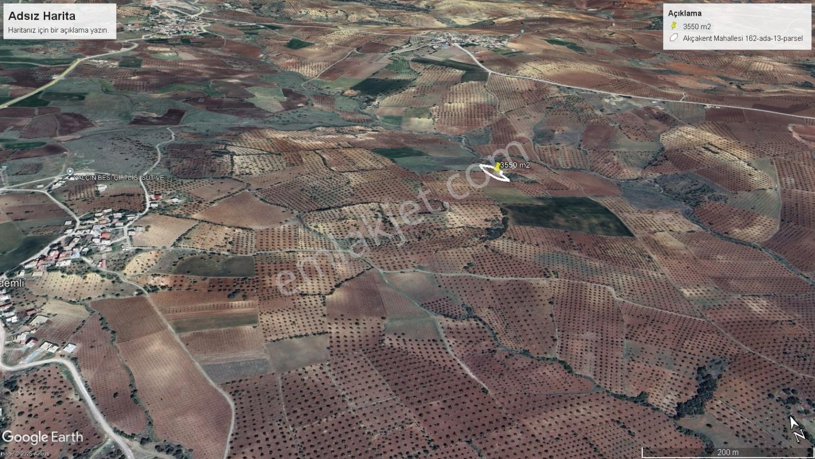 Kilis Musabeyli De Bakımlı 3550 M2 Zeytinlik Toprak Emlaktan - Görsel 7