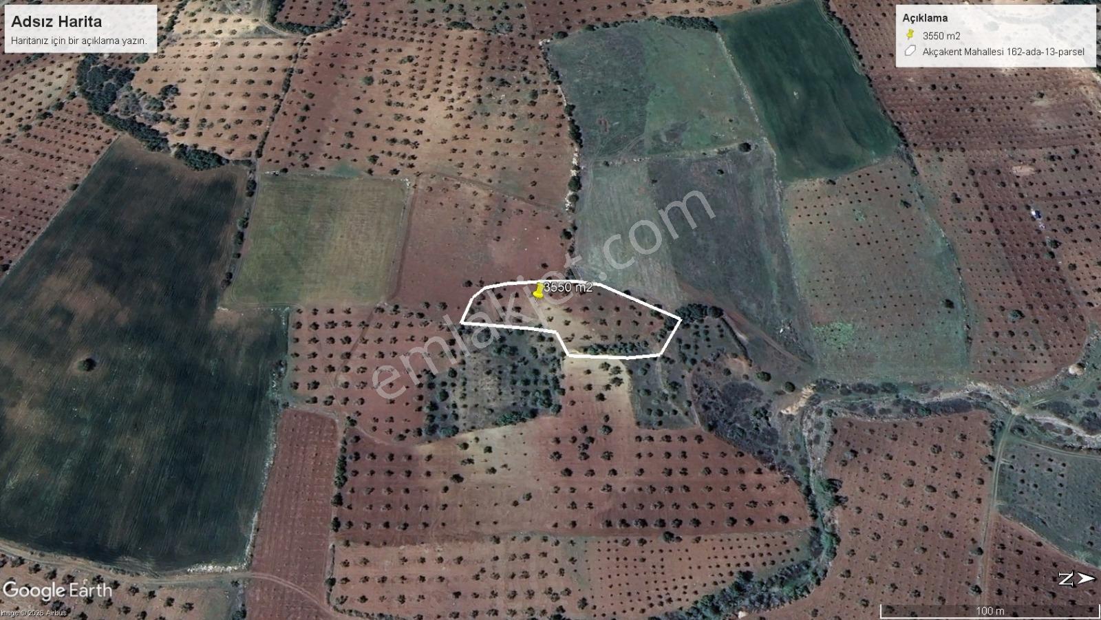 Kilis Musabeyli De Bakımlı 3550 M2 Zeytinlik Toprak Emlaktan - Görsel 12