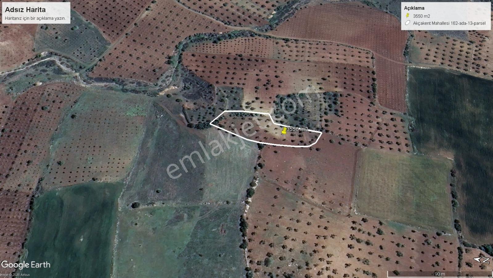Kilis Musabeyli De Bakımlı 3550 M2 Zeytinlik Toprak Emlaktan - Görsel 15