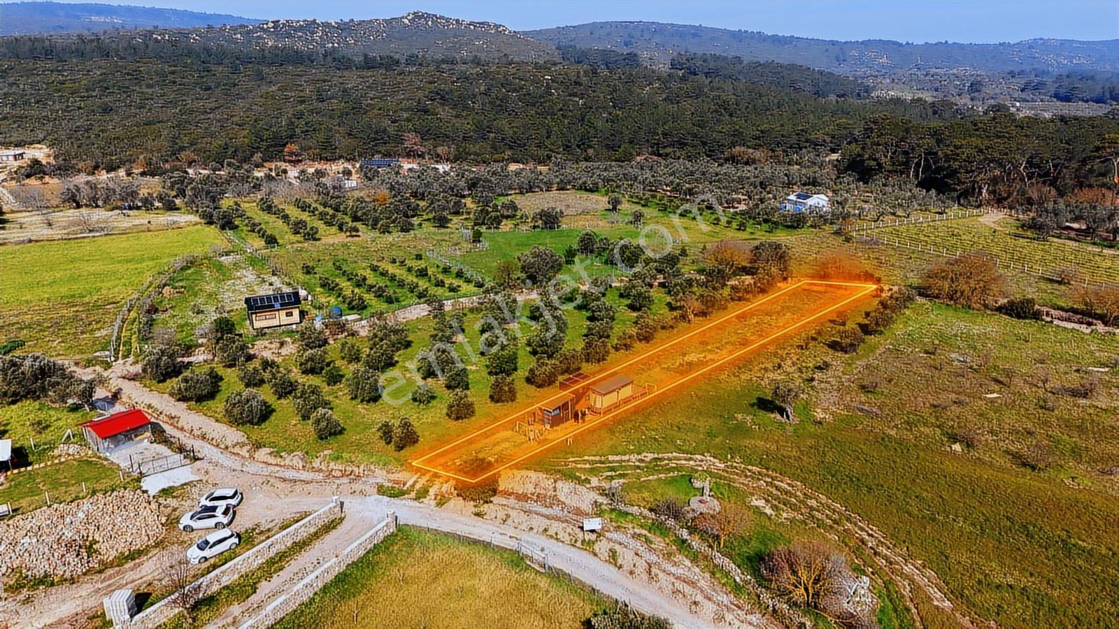 Urla Barbaros'ta Tiny House Hazır Kurulu | 465 M² Müstakil Tapu - Görsel 29