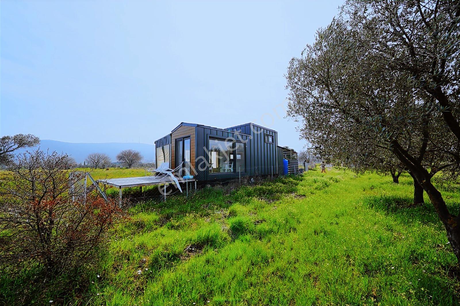 Urla Barbaros'ta Tiny House Hazır Kurulu | 465 M² Müstakil Tapu - Görsel 23