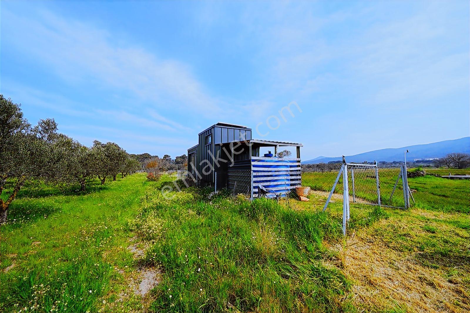 Urla Barbaros'ta Tiny House Hazır Kurulu | 465 M² Müstakil Tapu - Görsel 12