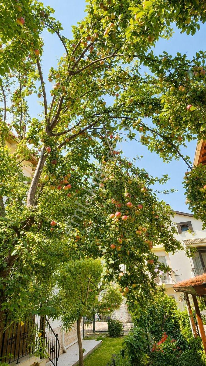 Urla Merkez Binkonutlar Site İçi Otobana 1dk. 4+1 Villa - Görsel 23