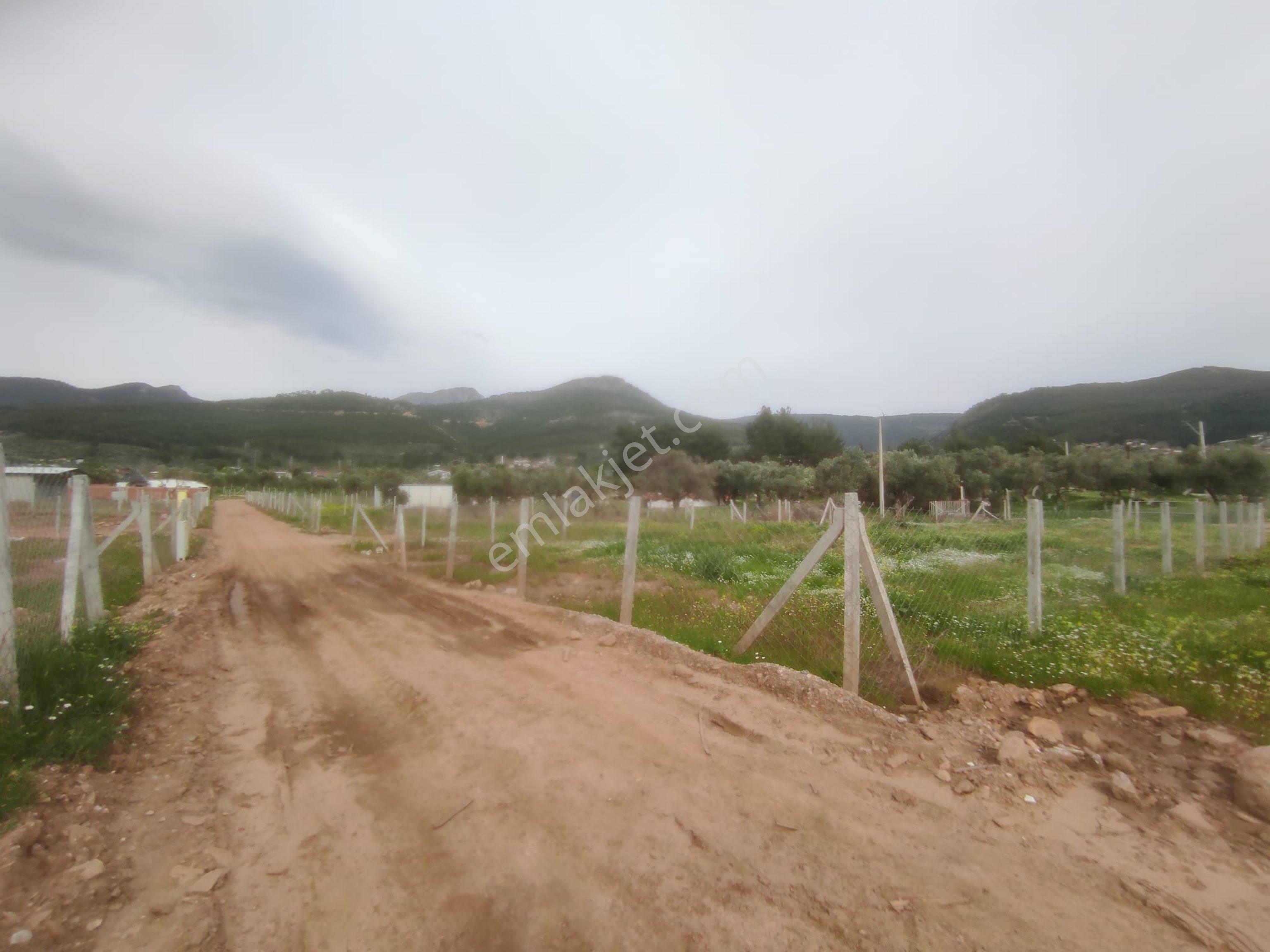 Kemalpaşa Cumalıda 550 M2 Bağ - Görsel 12