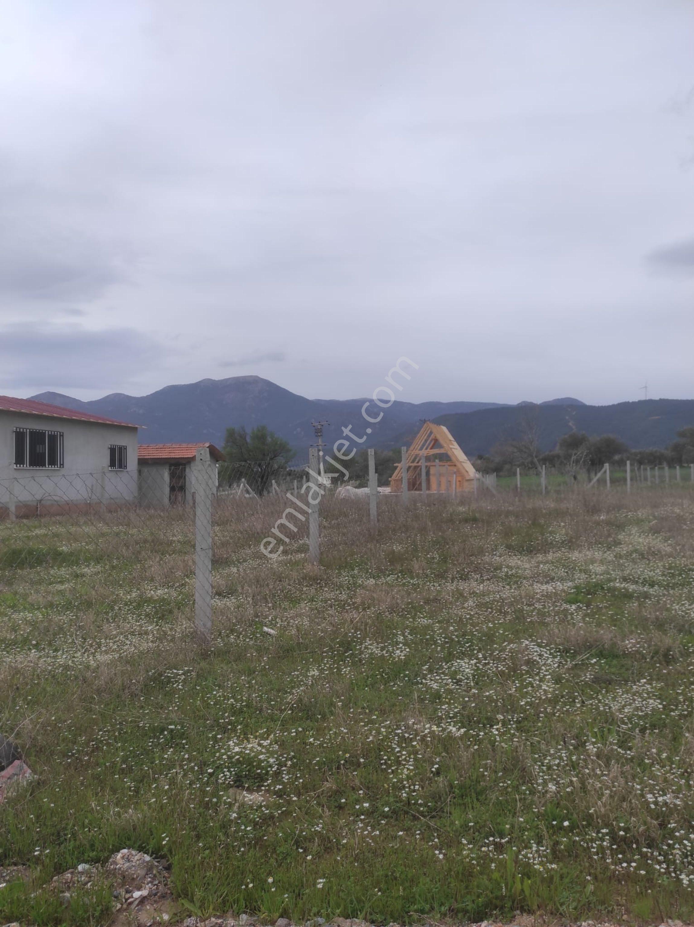 Kemalpaşa Cumalıda 550 M2 Bağ - Görsel 21
