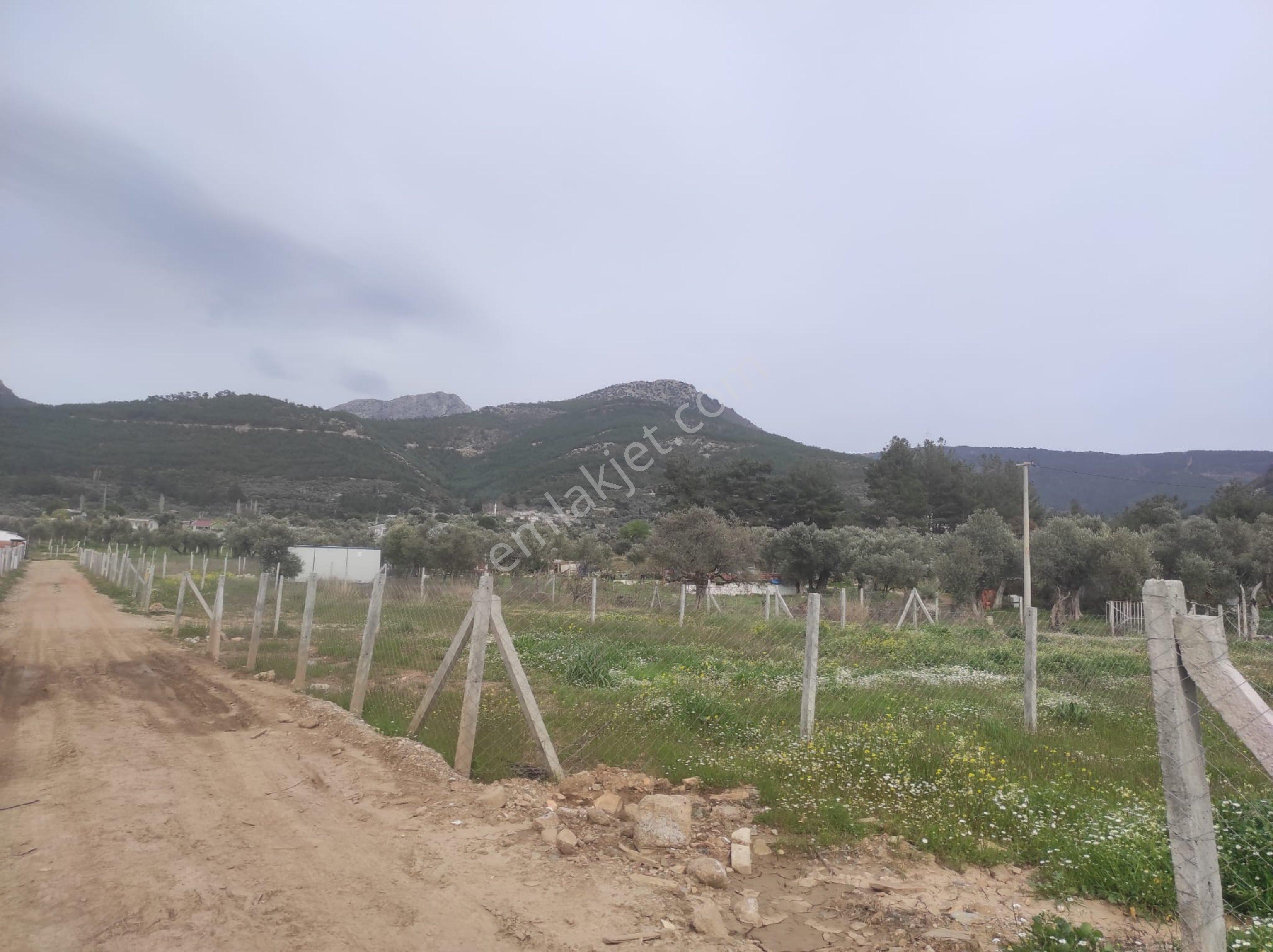 Kemalpaşa Cumalıda 550 M2 Bağ - Görsel 17