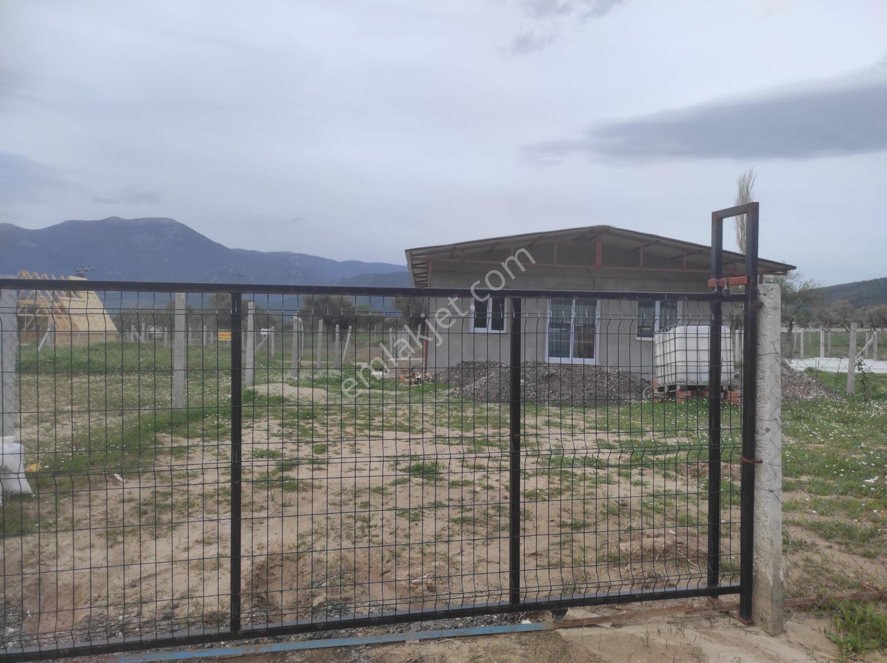 Kemalpaşa Cumalıda 550 M2 Bağ - Görsel 24