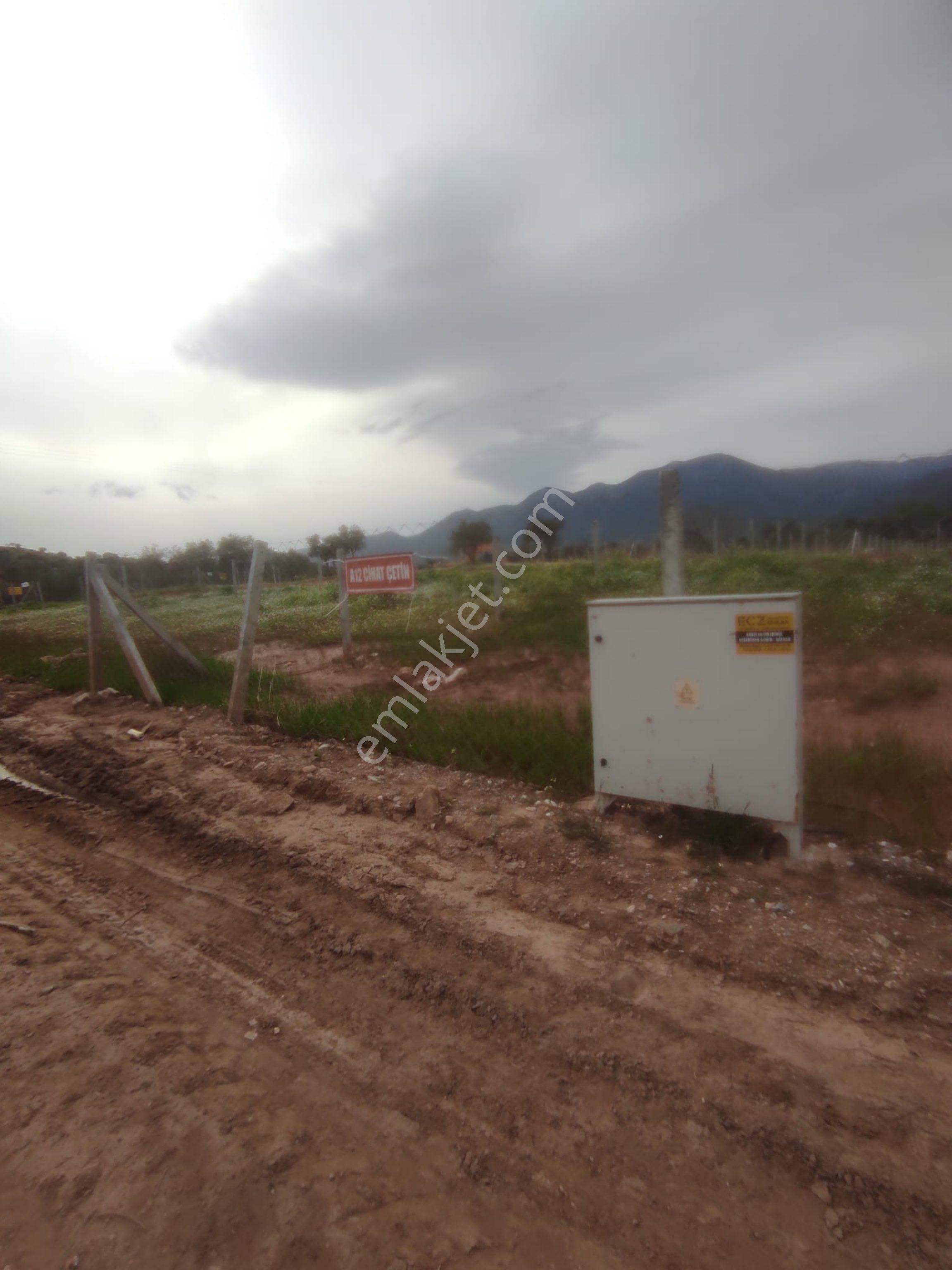 Kemalpaşa Cumalıda 550 M2 Bağ - Görsel 6