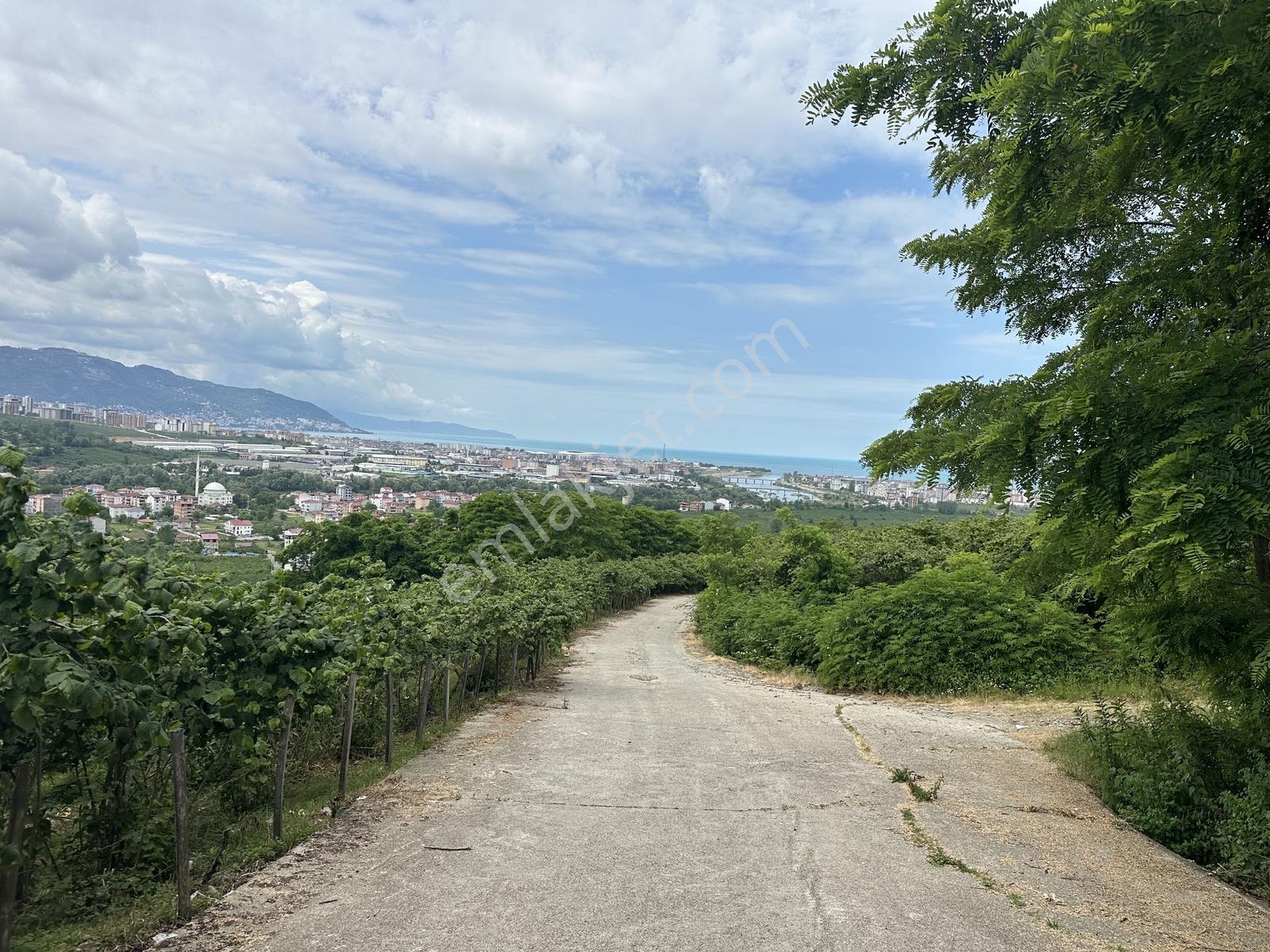 Tepe Gayrimenkul Yukarıtepe'de Geleceğin Yatırımı İçin Arsa! - Görsel 8