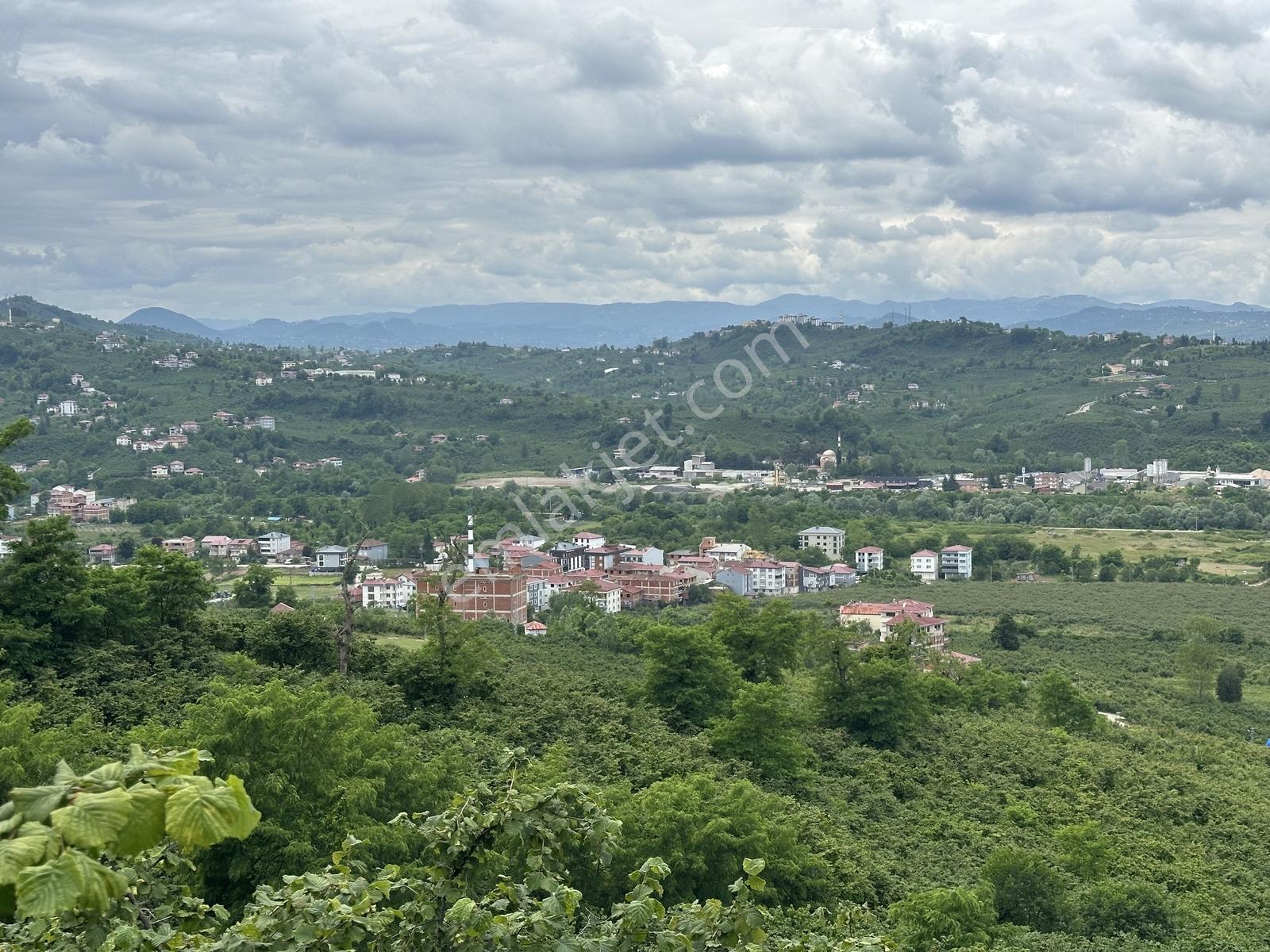 Tepe Gayrimenkul Yukarıtepe'de Geleceğin Yatırımı İçin Arsa! - Görsel 17