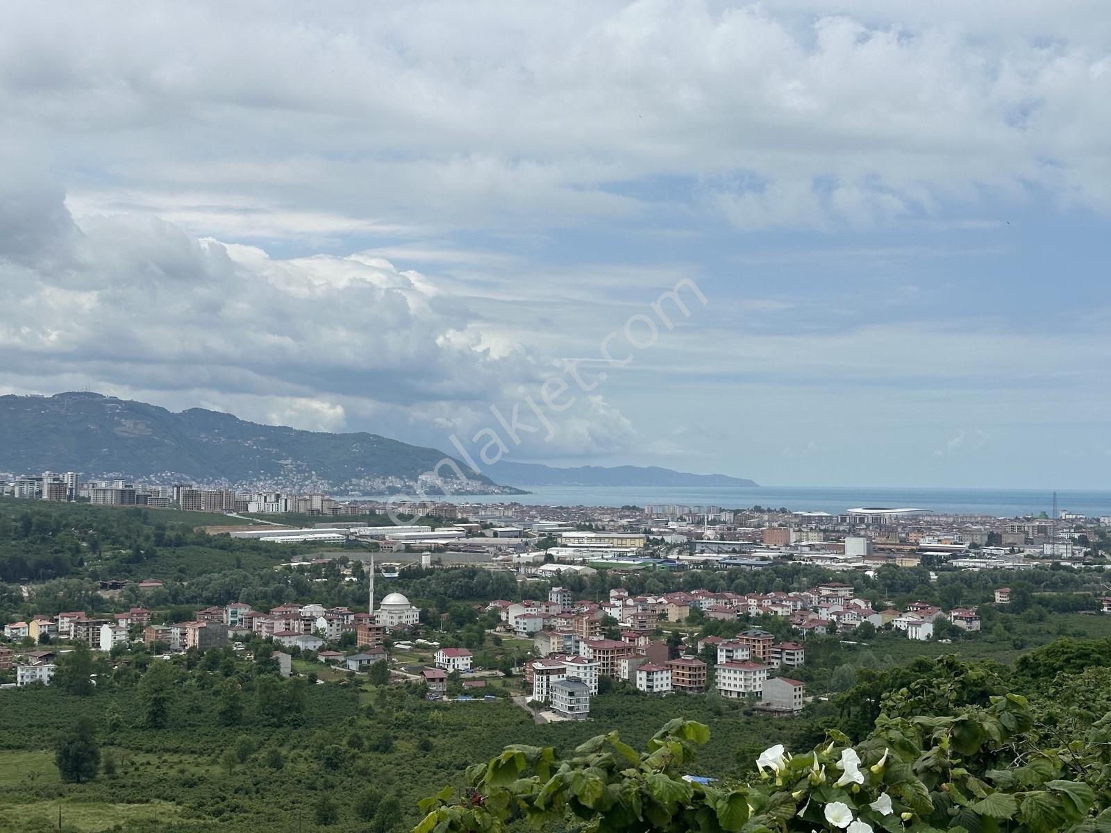 Tepe Gayrimenkul Yukarıtepe'de Geleceğin Yatırımı İçin Arsa! - Görsel 4