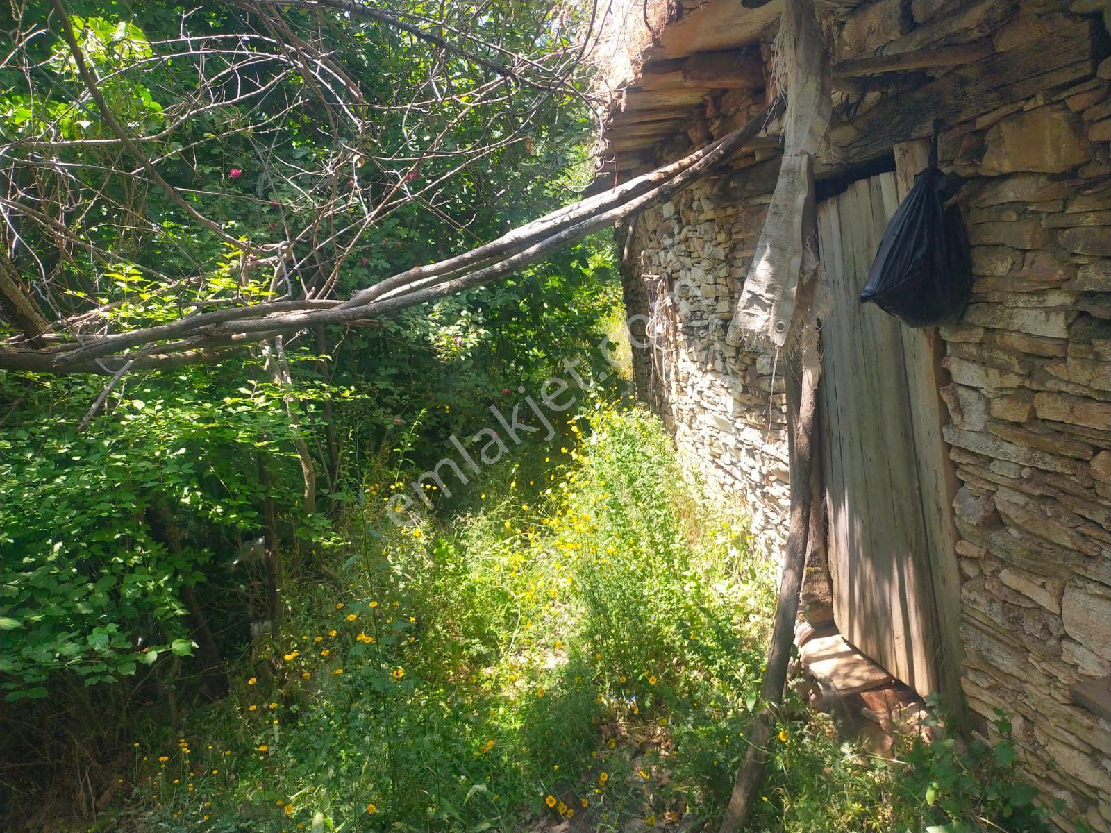 Sarıyurt Yaylasında 9.493 M² Bahçe - Görsel 9