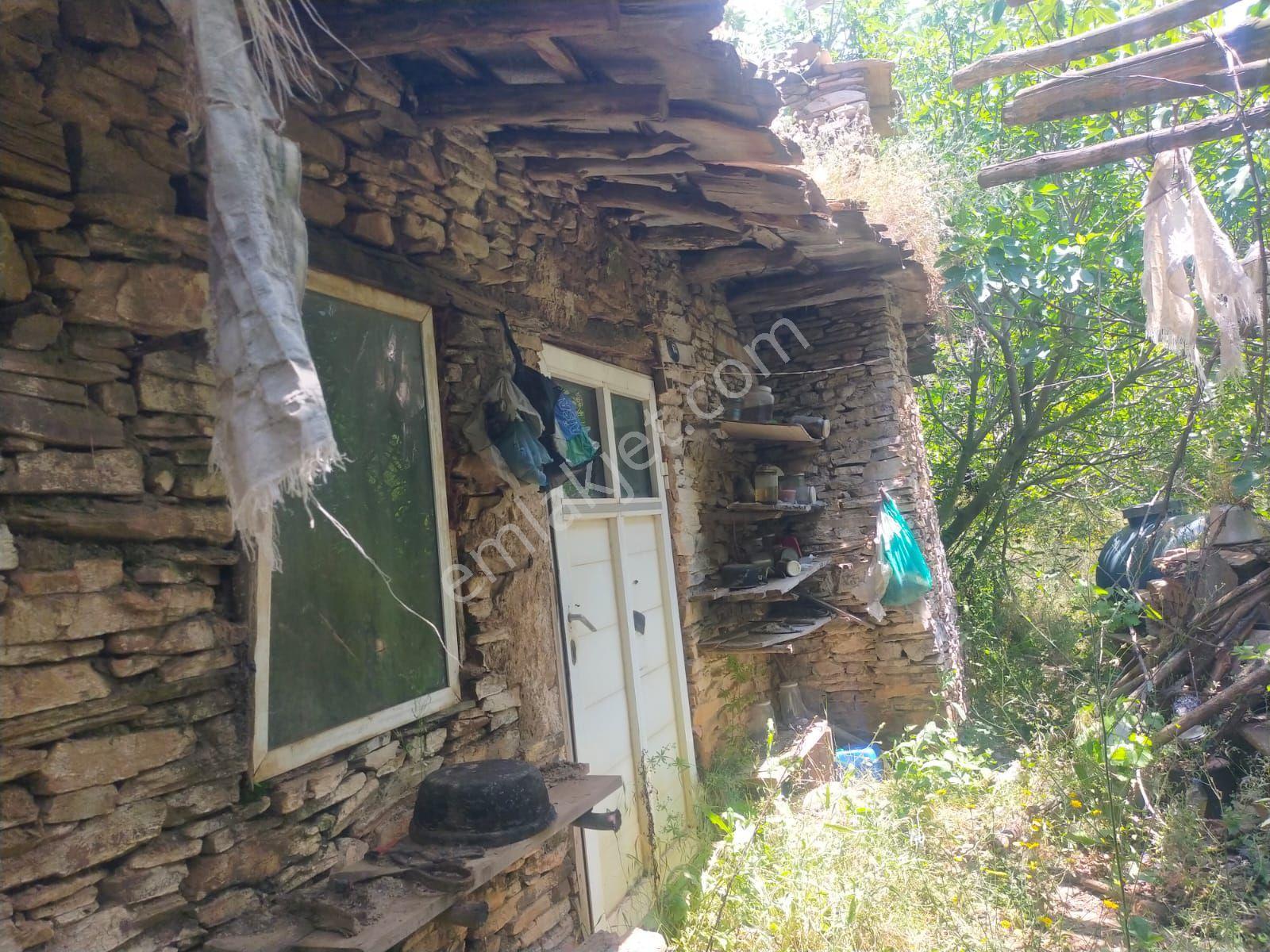 Sarıyurt Yaylasında 9.493 M² Bahçe - Görsel 2