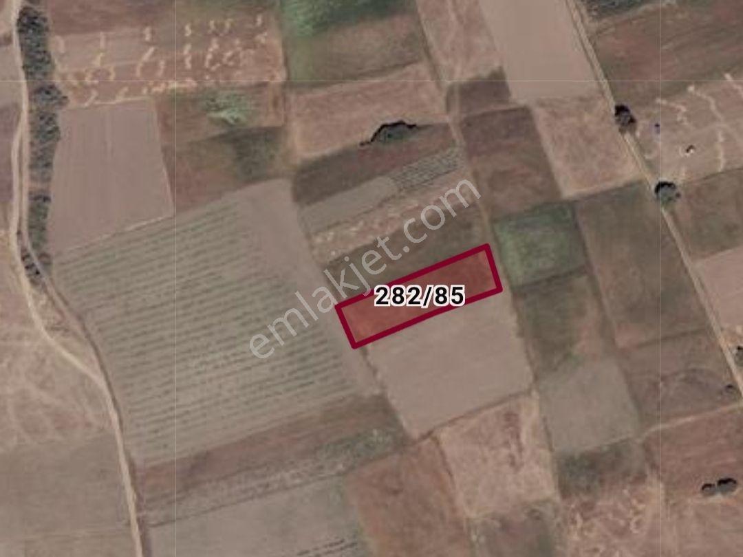 Güneydere Botsa 1.757 M² Müstakil Ekilir Dikilir Tarla - Görsel 2