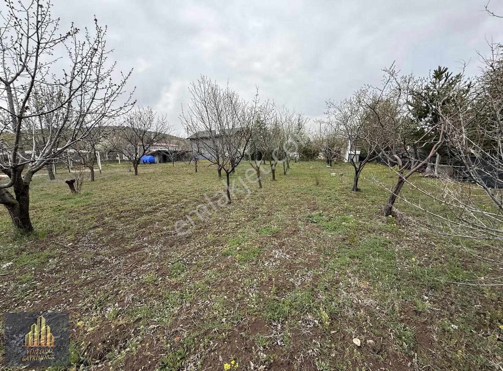 Kavaklı'da Abonelikleri Tam Full Yapılı 2+1 Müstakil Ev - Görsel 24
