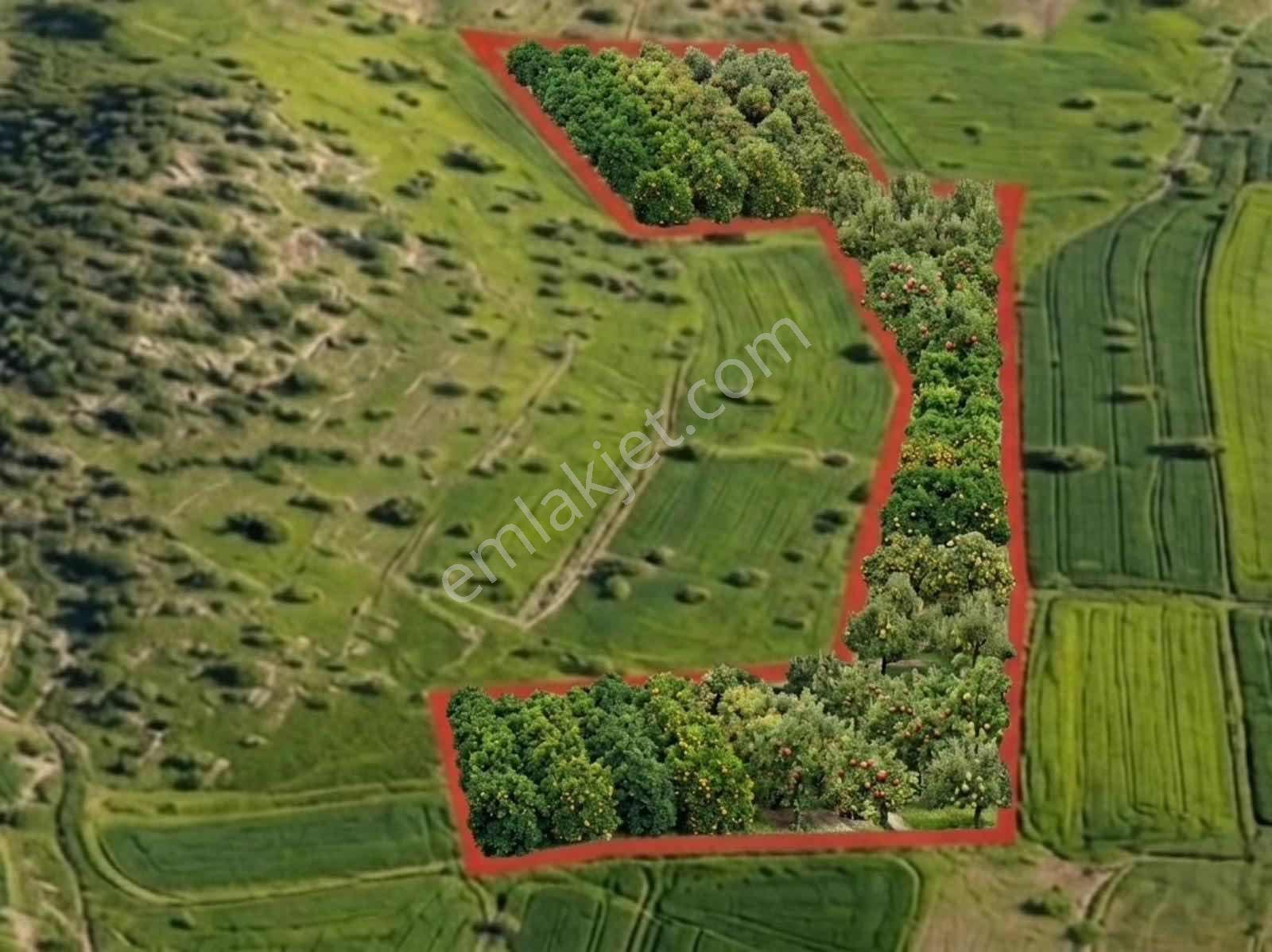 Tefenni Yuva 18.260 M² Müstakil Tapu | Uygun Fiyat | Yola Yakın - Görsel 10