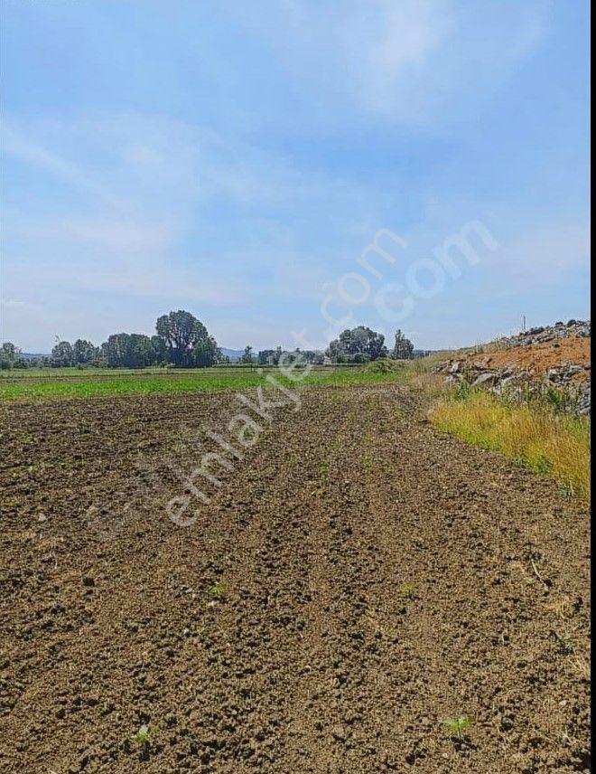 Bursa Kılıç Tan Mudanya Çayönü De 316m2 Satılık Hobi Bahçesi - Görsel 3