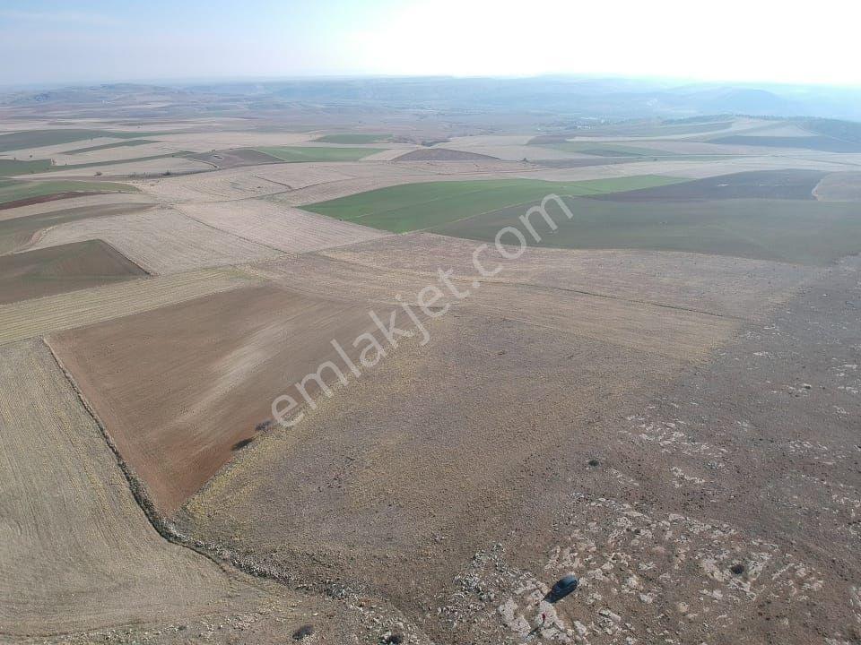 Eskişehir Sivrihisar 21.092 M2 Tarla Elektrik Su Yanında Düz Zemin - Görsel 18