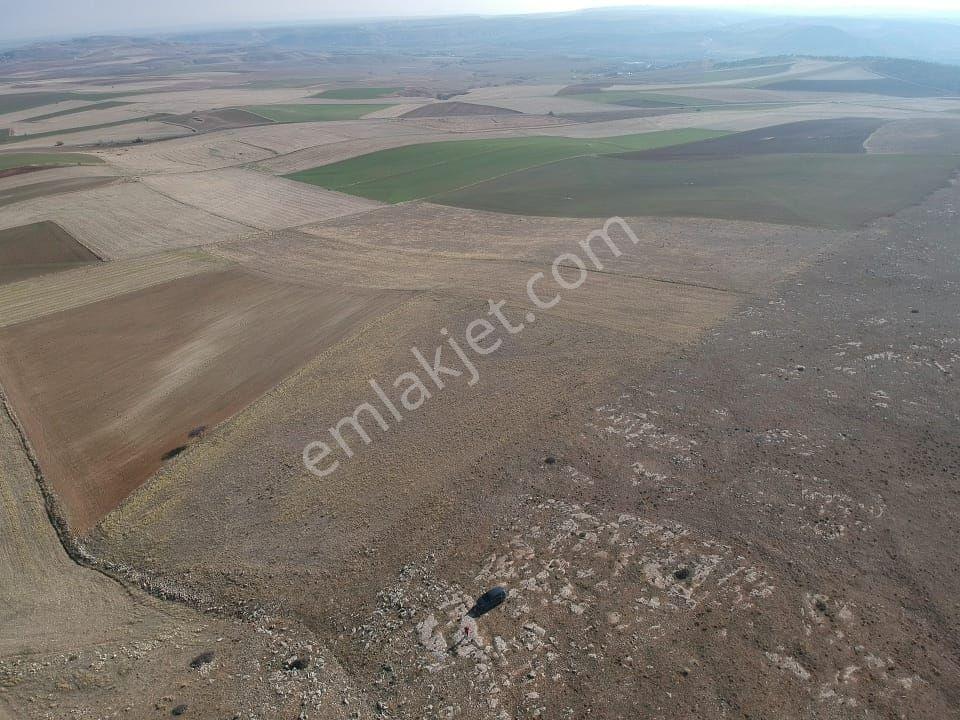 Eskişehir Sivrihisar 21.092 M2 Tarla Elektrik Su Yanında Düz Zemin - Görsel 9