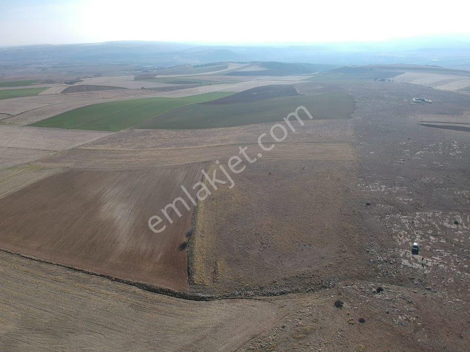 Eskişehir Sivrihisar 21.092 M2 Tarla Elektrik Su Yanında Düz Zemin - Görsel 10