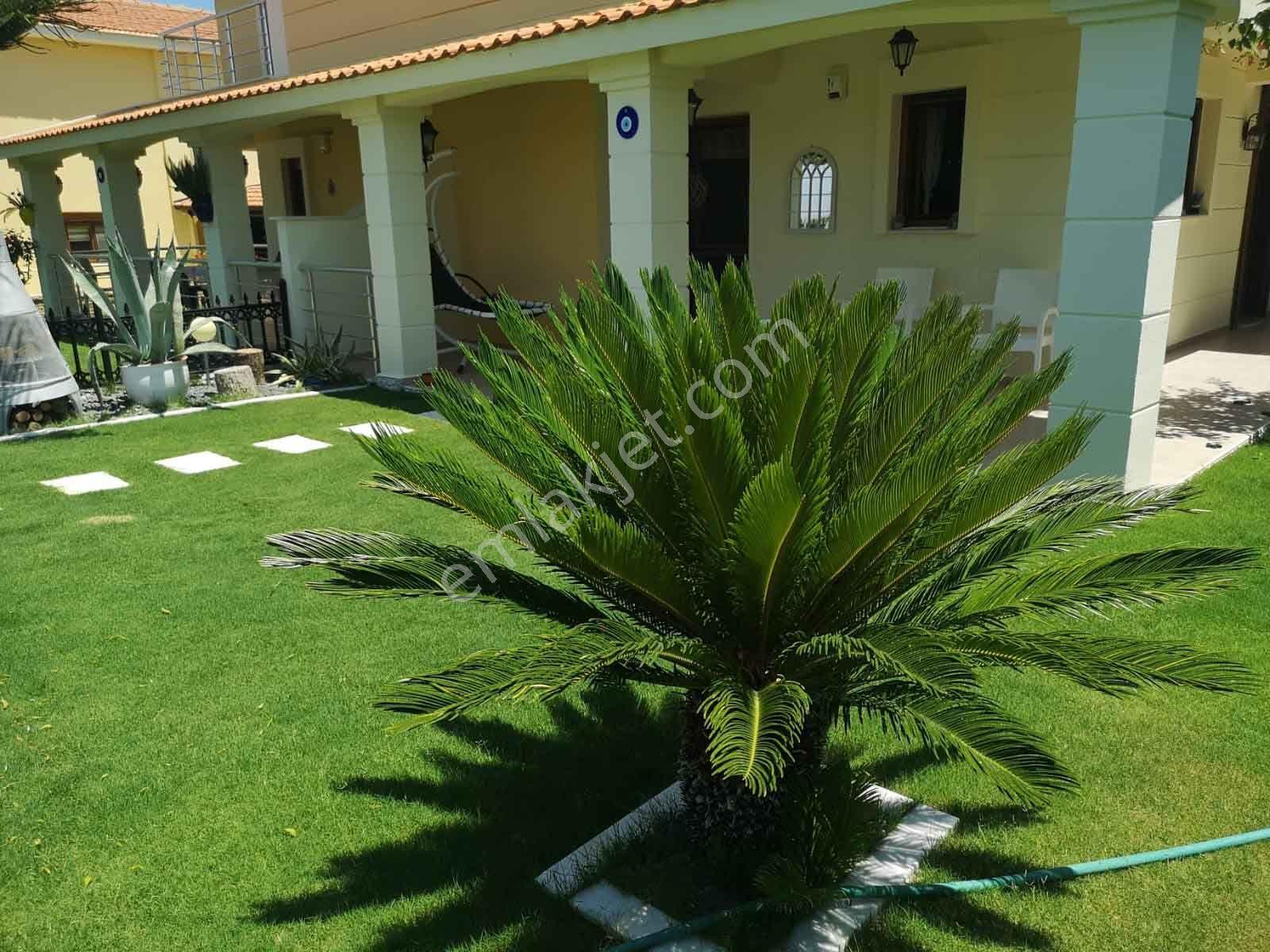 Dalyan Müstakil Havuzlu Ve Bahçeli 3 Oda 2 Salon Kiralık Villa - Görsel 10