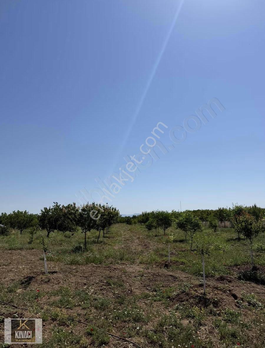 Dilek De Satılık 1180 M2 Bahçe - Görsel 2