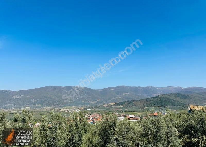 Çiçekli Mah. İmar Sınırında 1394 M2 Satılık Zeytin Bahçesi - Görsel 22