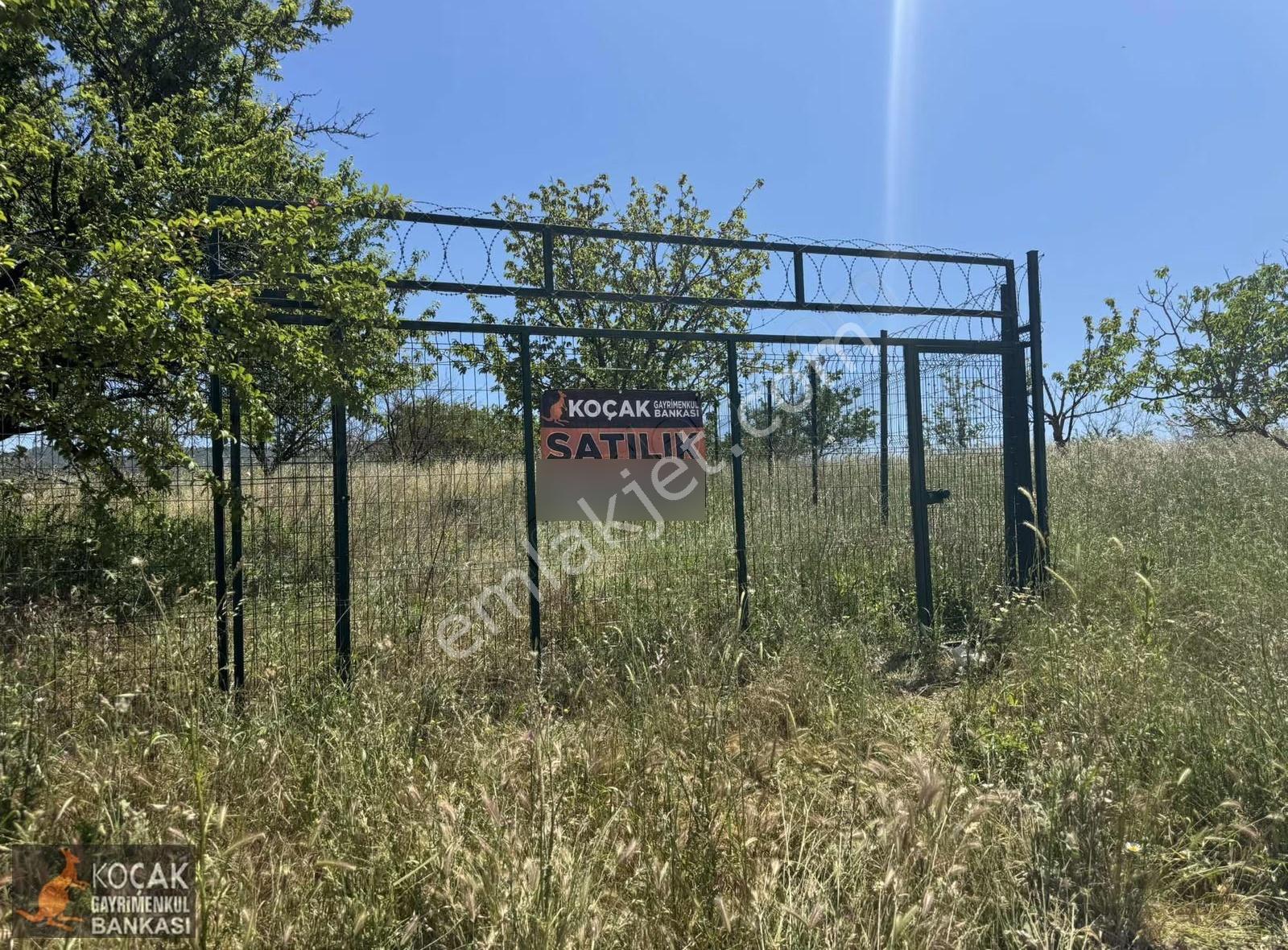 Çampınar Köyünde İmar Sınırında 5.084m2 Meyve Bahçesi - Görsel 2