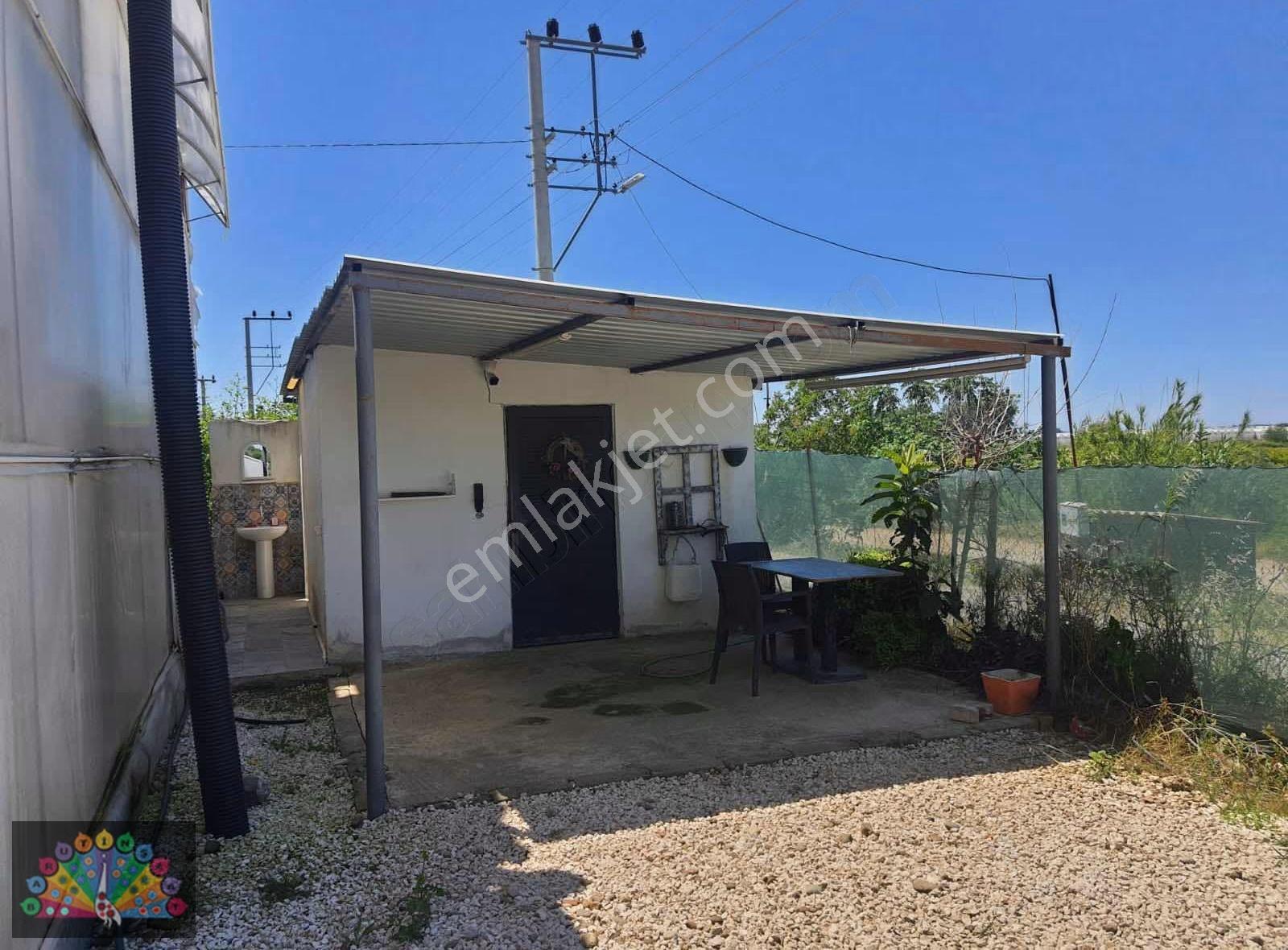 Manavgat Bereket Köyü Satılık Muz Serası - Görsel 5