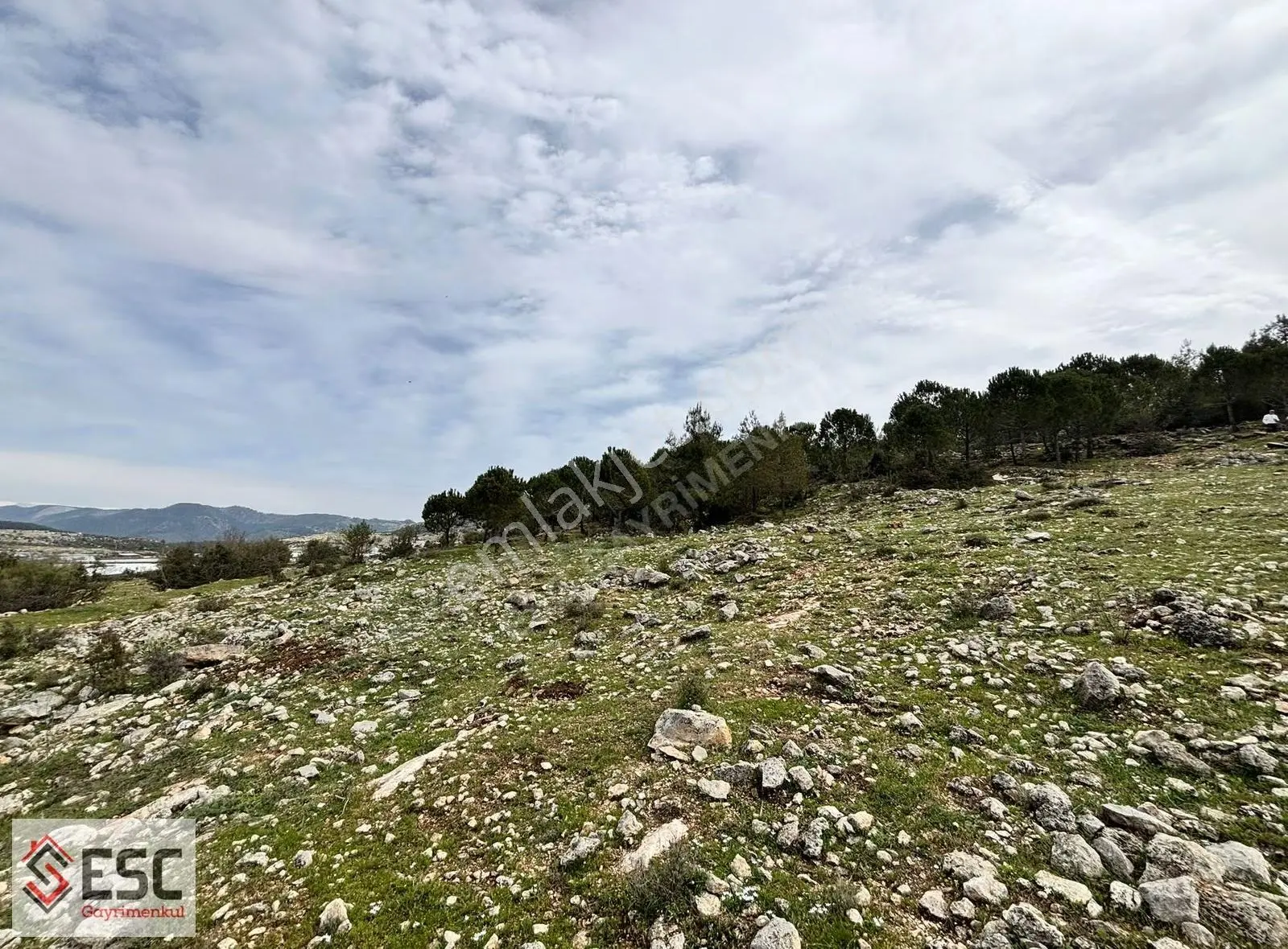 Esc'den Akarca'da 23.666 M² Satılık Arsa Esc2497 - Görsel 3