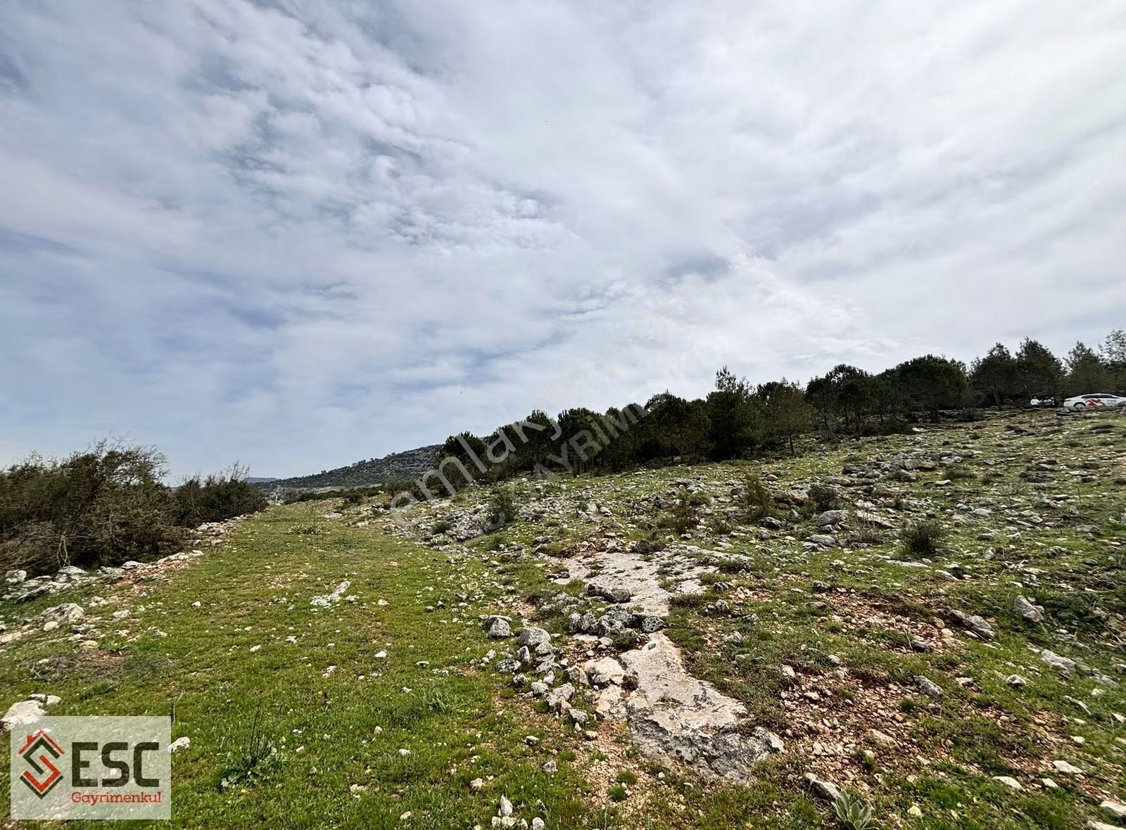 Esc'den Akarca'da 23.666 M² Satılık Arsa Esc2497