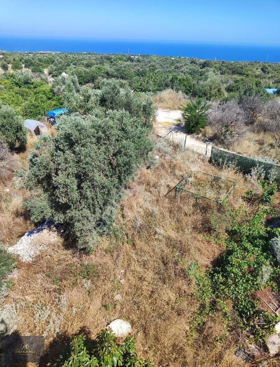 Tırtarda 2 Dönüm İçerisinde Deniz Manzara 120 M2 Müstakil Dublex - Görsel 2