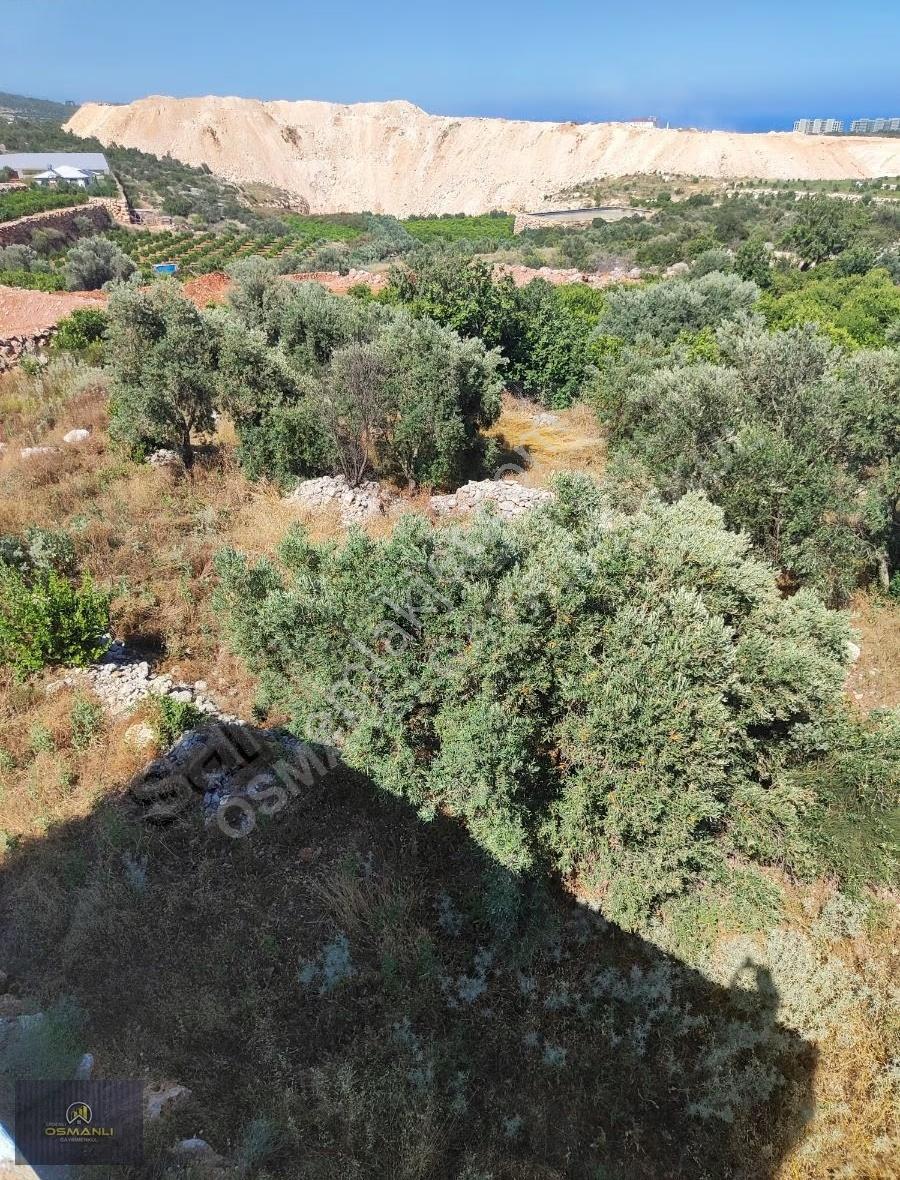 Tırtarda 2 Dönüm İçerisinde Deniz Manzara 120 M2 Müstakil Dublex - Görsel 9