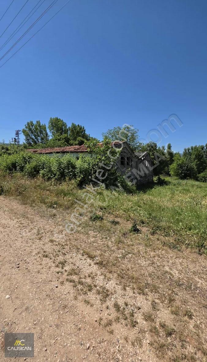 Söngüt Köyü Ana Yol Üzeri Satılık Tarla - Görsel 3