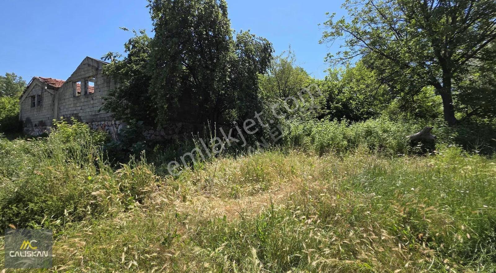 Söngüt Köyü Ana Yol Üzeri Satılık Tarla - Görsel 17