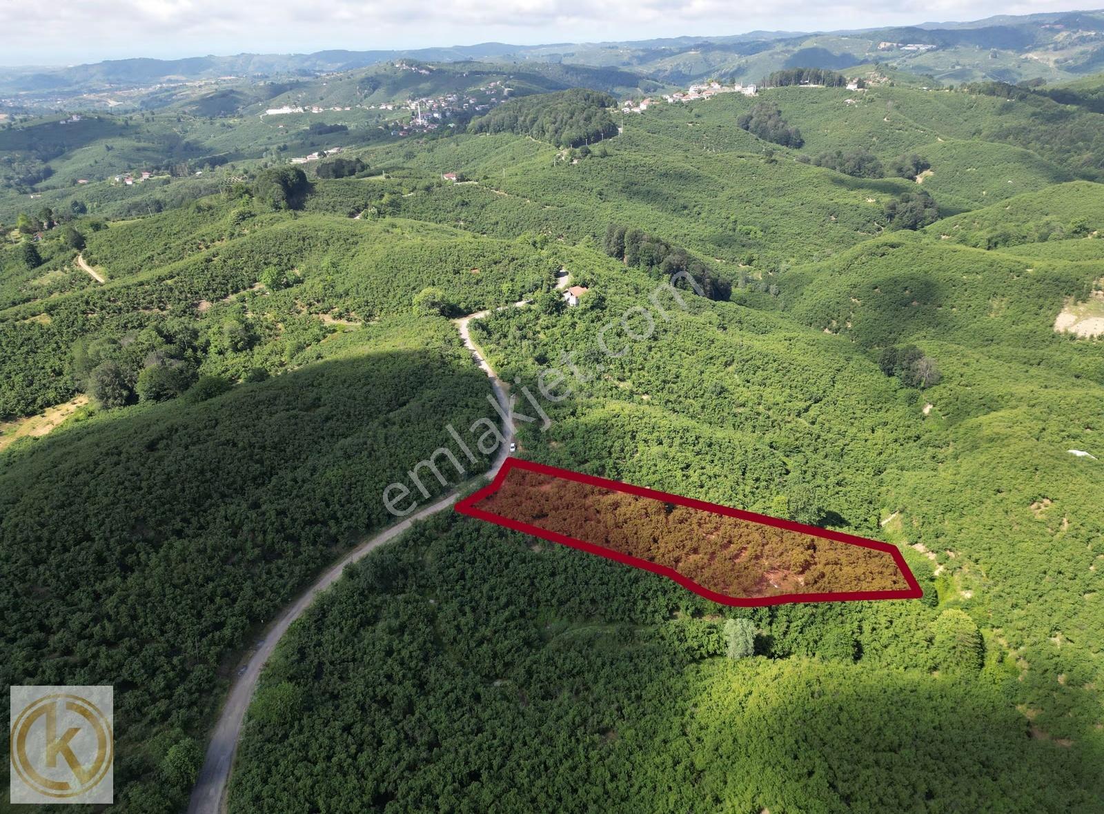 Kaymak Emlaktan Karasu Yassıgeçitte 4149 M² Satılık Fındıklık - Görsel 7