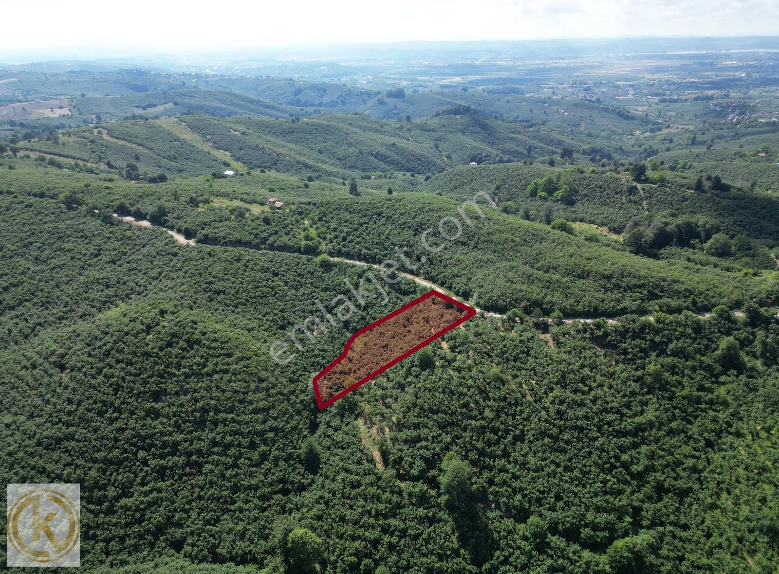 Kaymak Emlaktan Karasu Yassıgeçitte 4149 M² Satılık Fındıklık - Görsel 8
