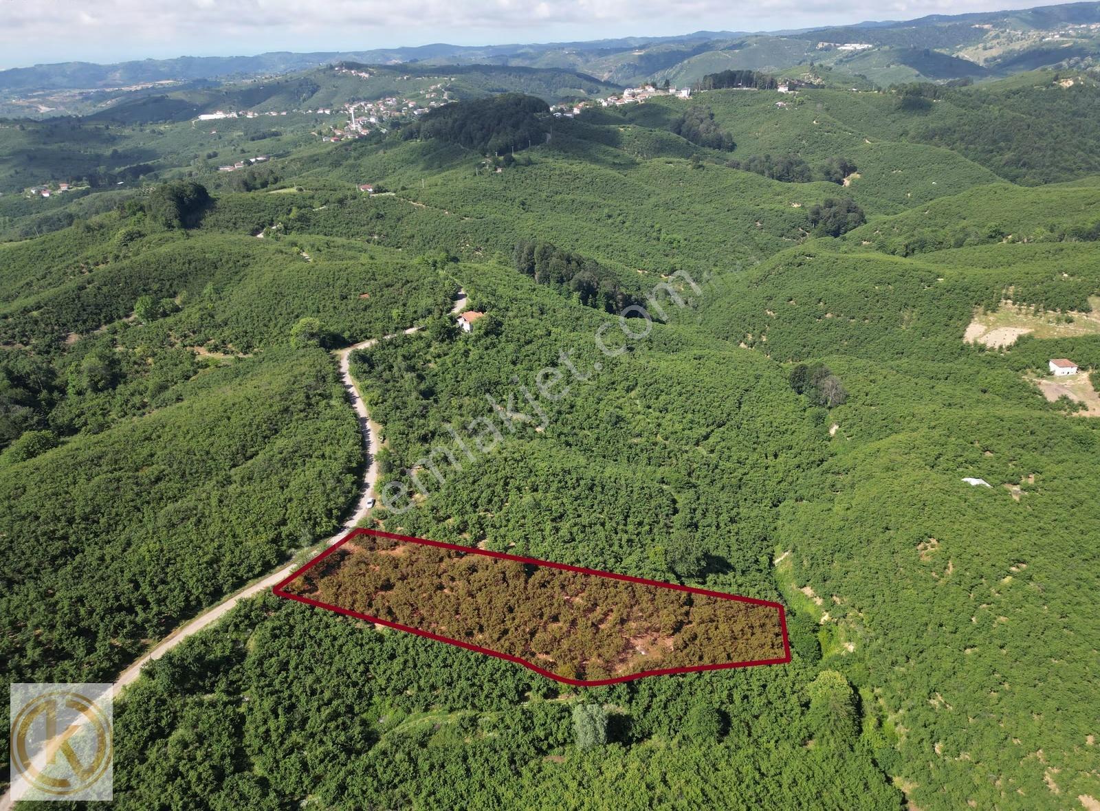 Kaymak Emlaktan Karasu Yassıgeçitte 4149 M² Satılık Fındıklık - Görsel 15
