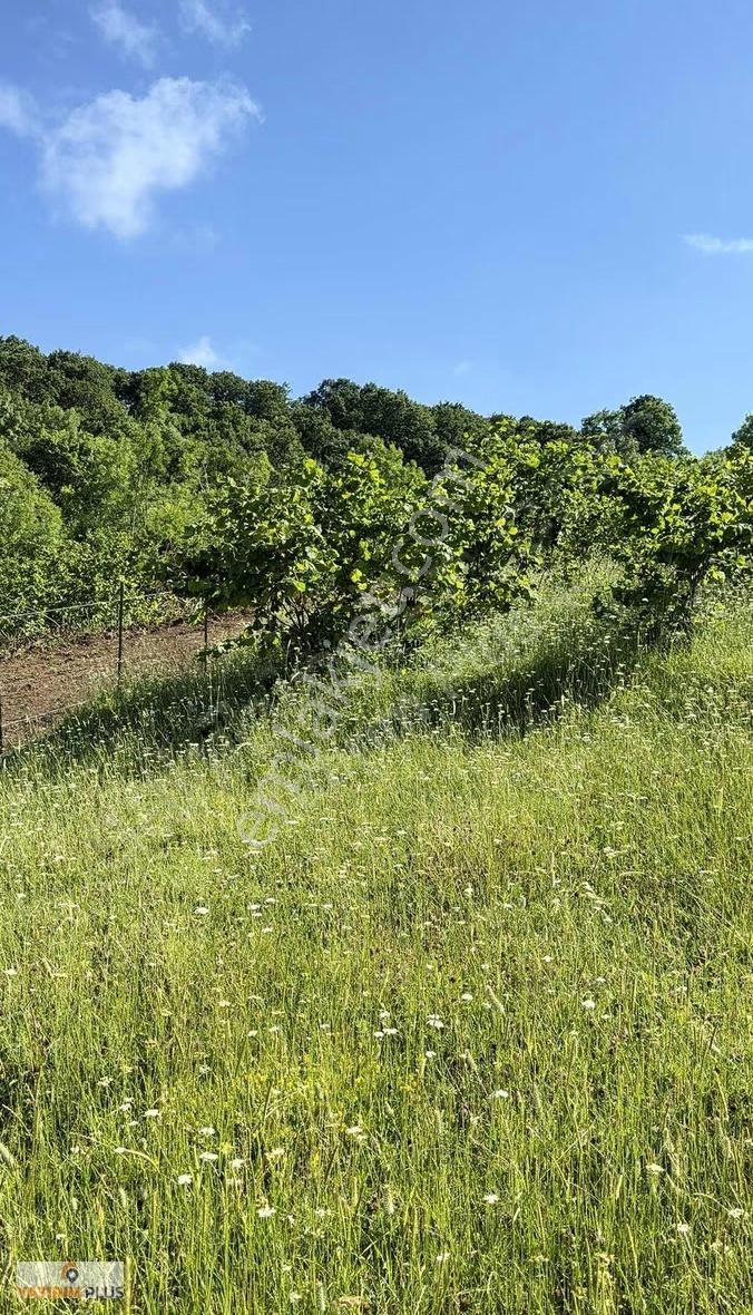 Samsun 19 Mayısta Panoramik Deniz Manzaralı Köşe Villa Parseli - Görsel 14
