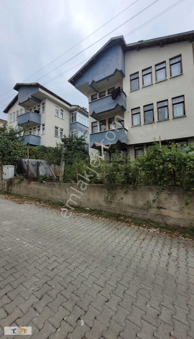 Kuzeykent Kurtuluş Sitesinde Müstakil Binada Kiralık Daireler
