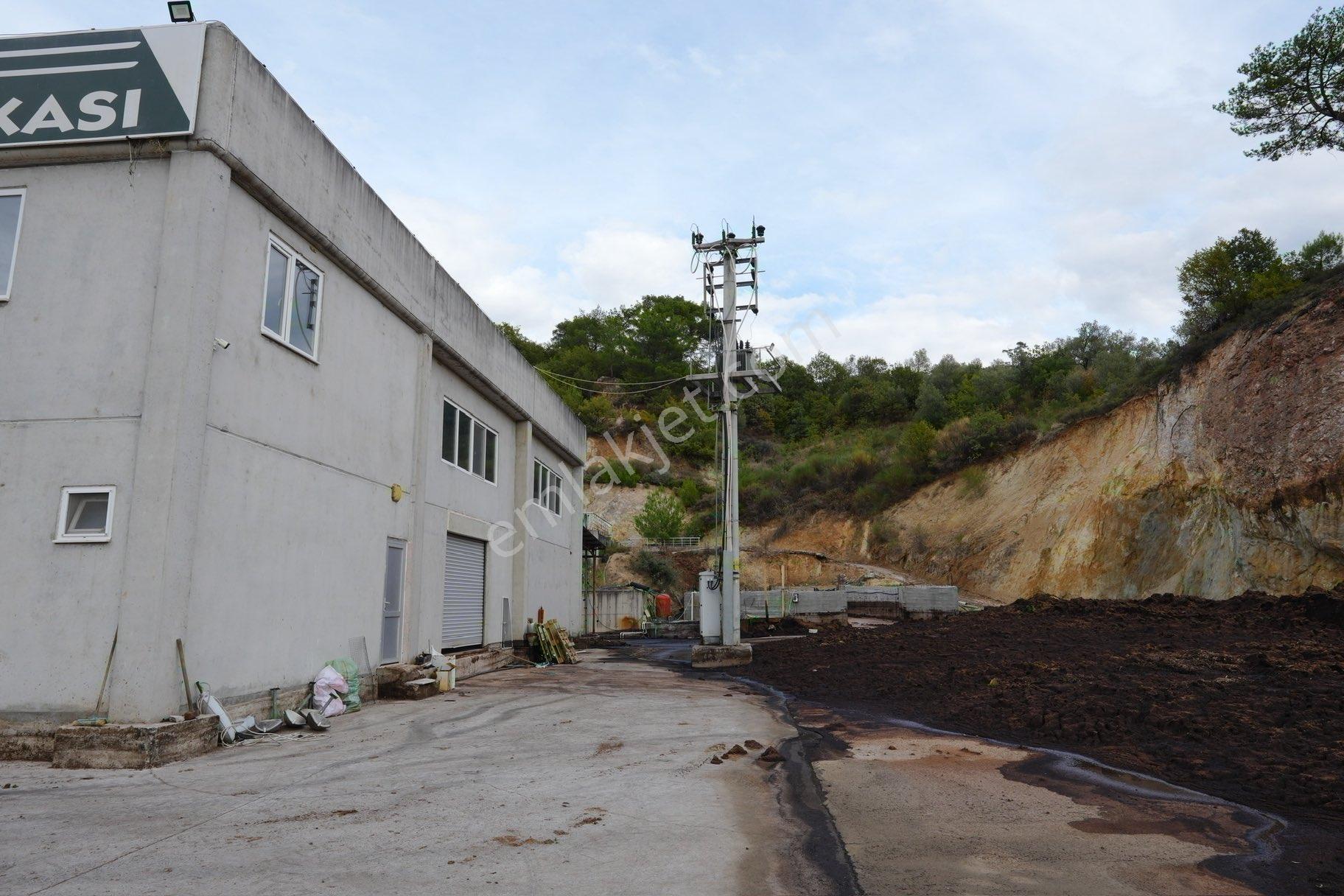 🫒 “yatırım Değeri Yüksek! 10500 M² Alan Üzerinde Ruhsatlı Zeytinyağı Fabrikası Satışta!” - Görsel 26