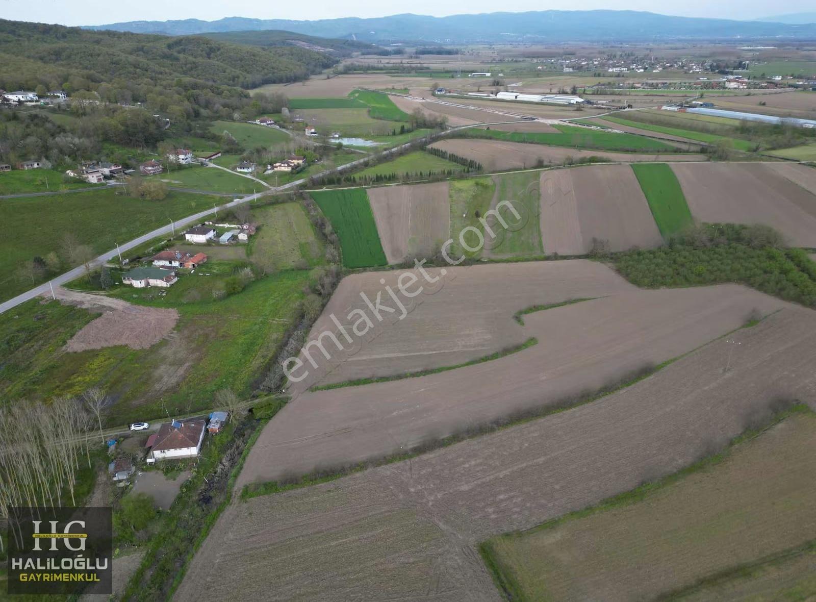 Söğütlü Kurudil İmar Sınırında 11.085m2 Tarla - Görsel 6