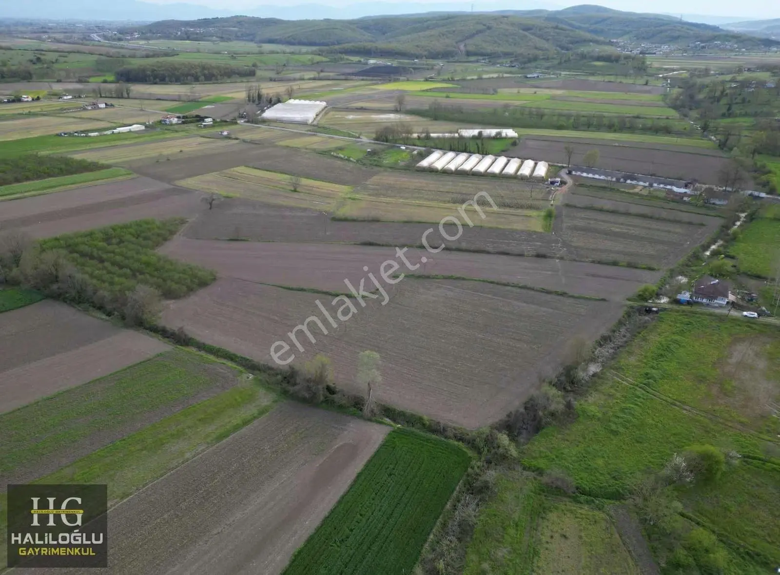 Söğütlü Kurudil İmar Sınırında 11.085m2 Tarla