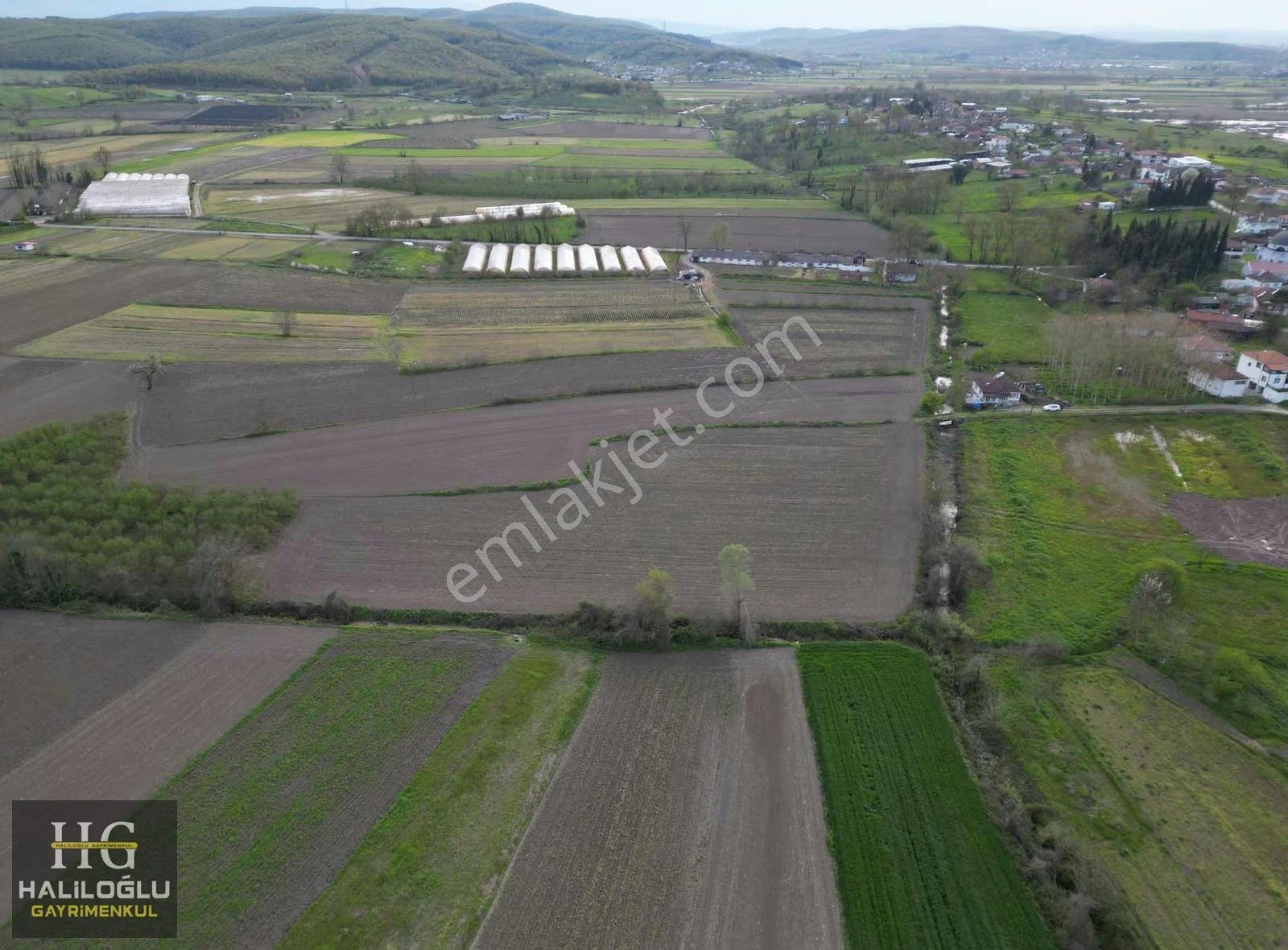 Söğütlü Kurudil İmar Sınırında 11.085m2 Tarla - Görsel 12