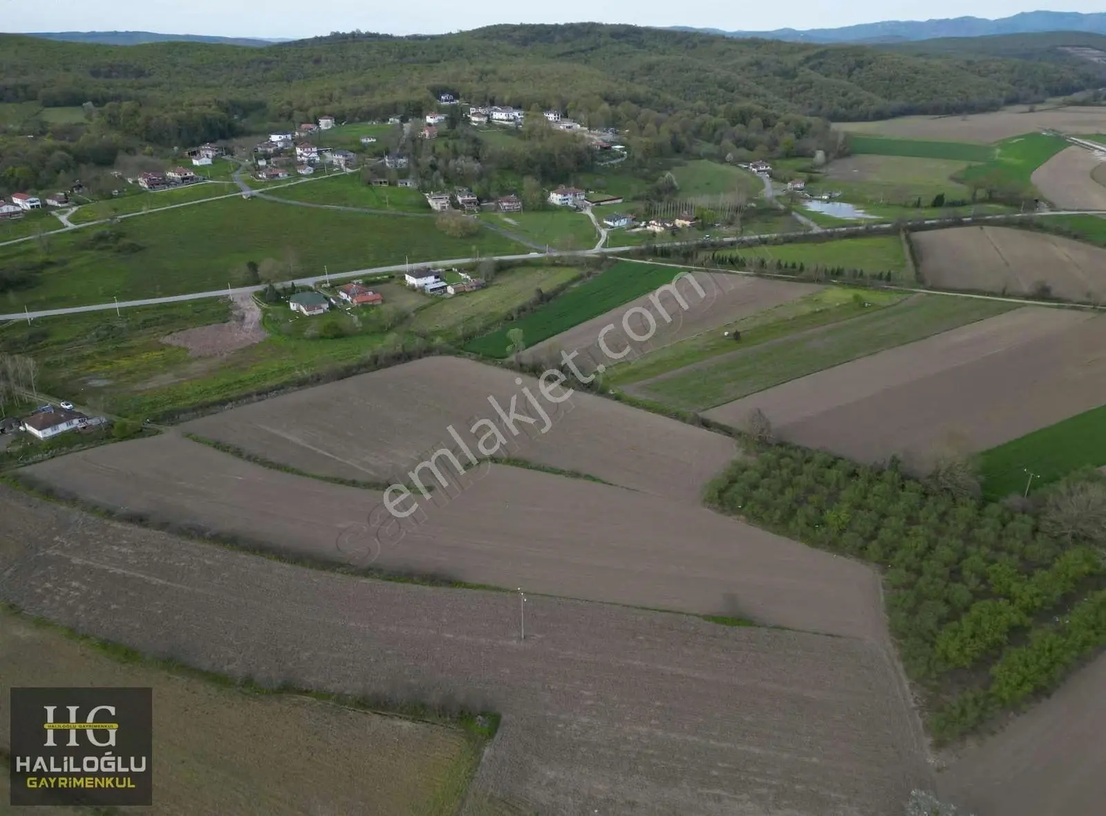 Söğütlü Kurudil İmar Sınırında 11.085m2 Tarla - Görsel 3