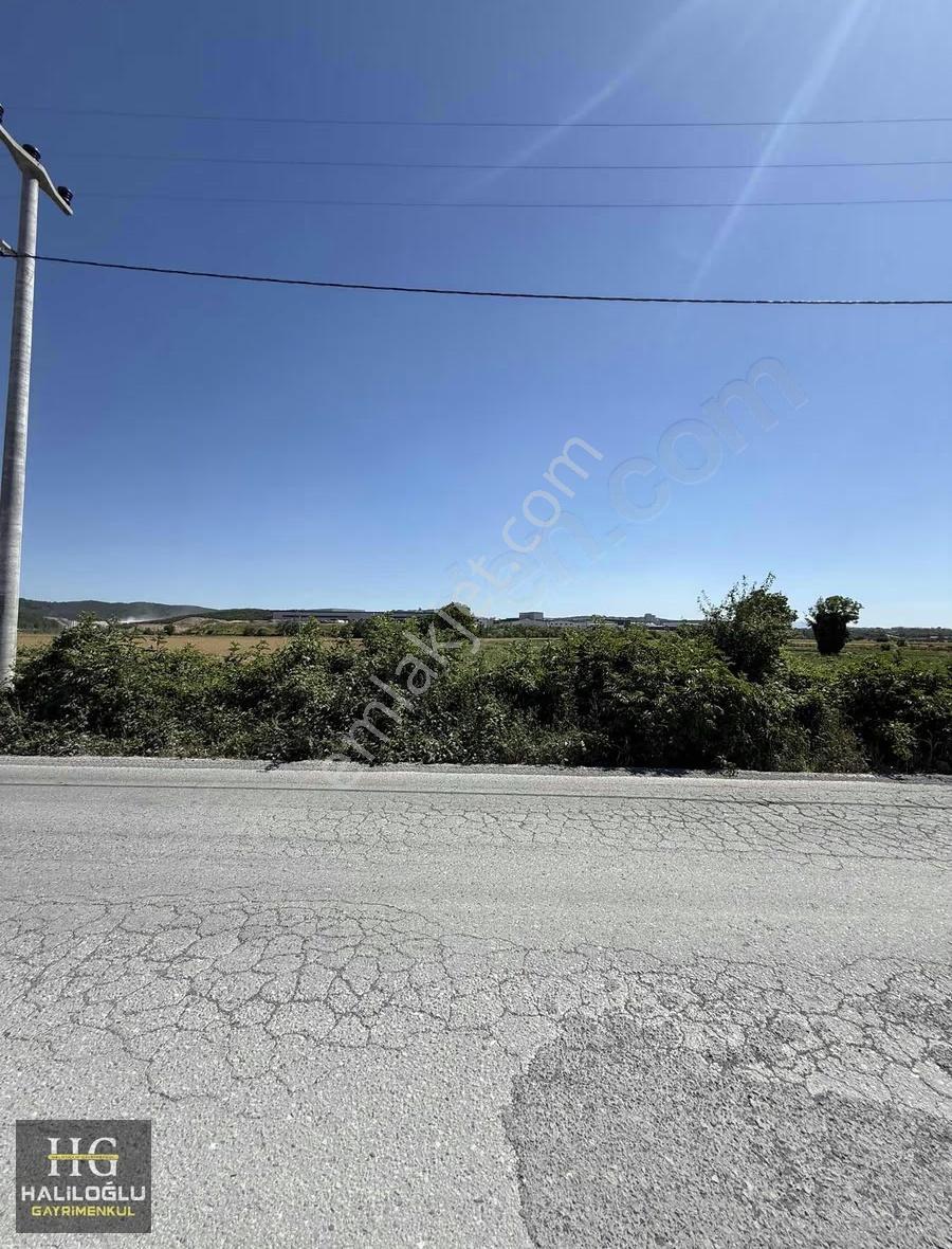 Ferizli Değırmencık Yatırım Fırsatı 8.270m2 Tarla - Görsel 3