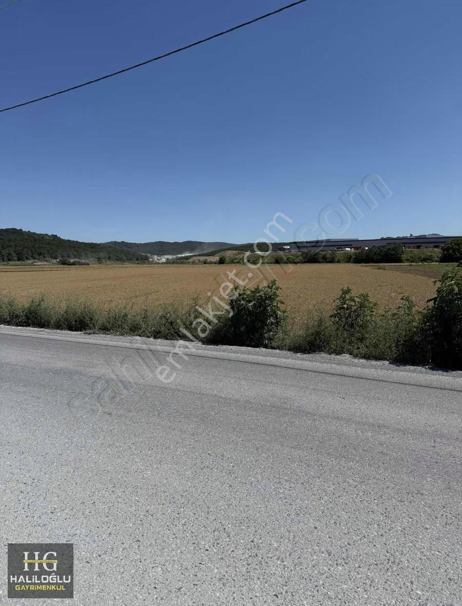 Ferizli Değırmencık Yatırım Fırsatı 8.270m2 Tarla - Görsel 2