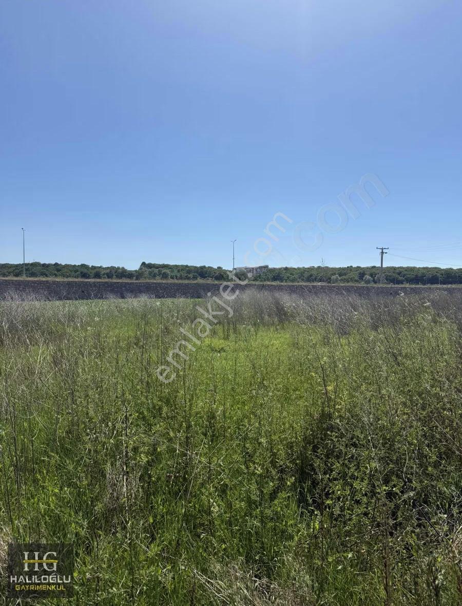 Ferizli Osb Sınırında Yatırımlık 4,700 M2 Tarla - Görsel 10
